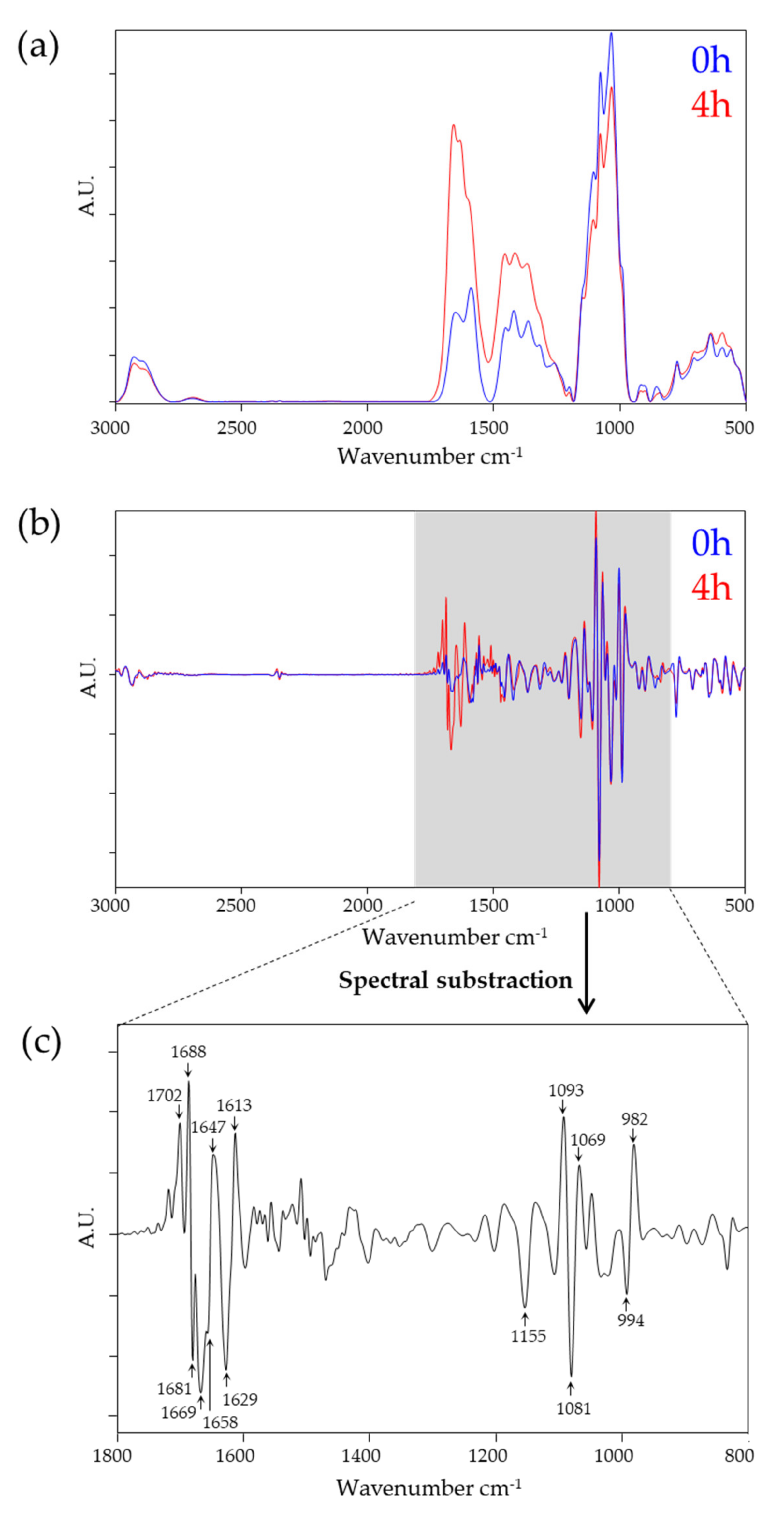 Biomolecules 10 00965 g001 Biomolecules 10 00965 g001