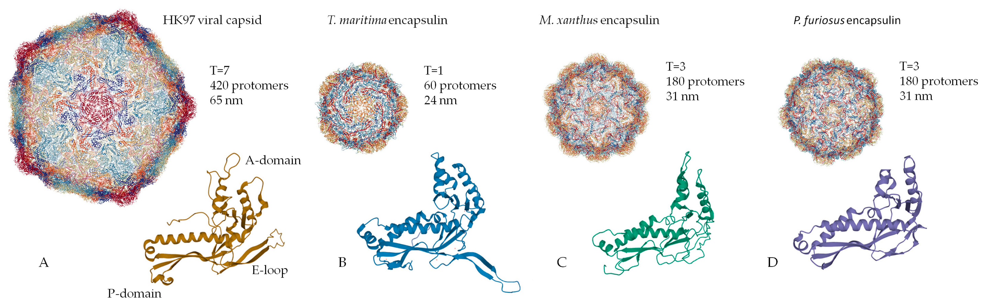Biomolecules 10 00966 g001
