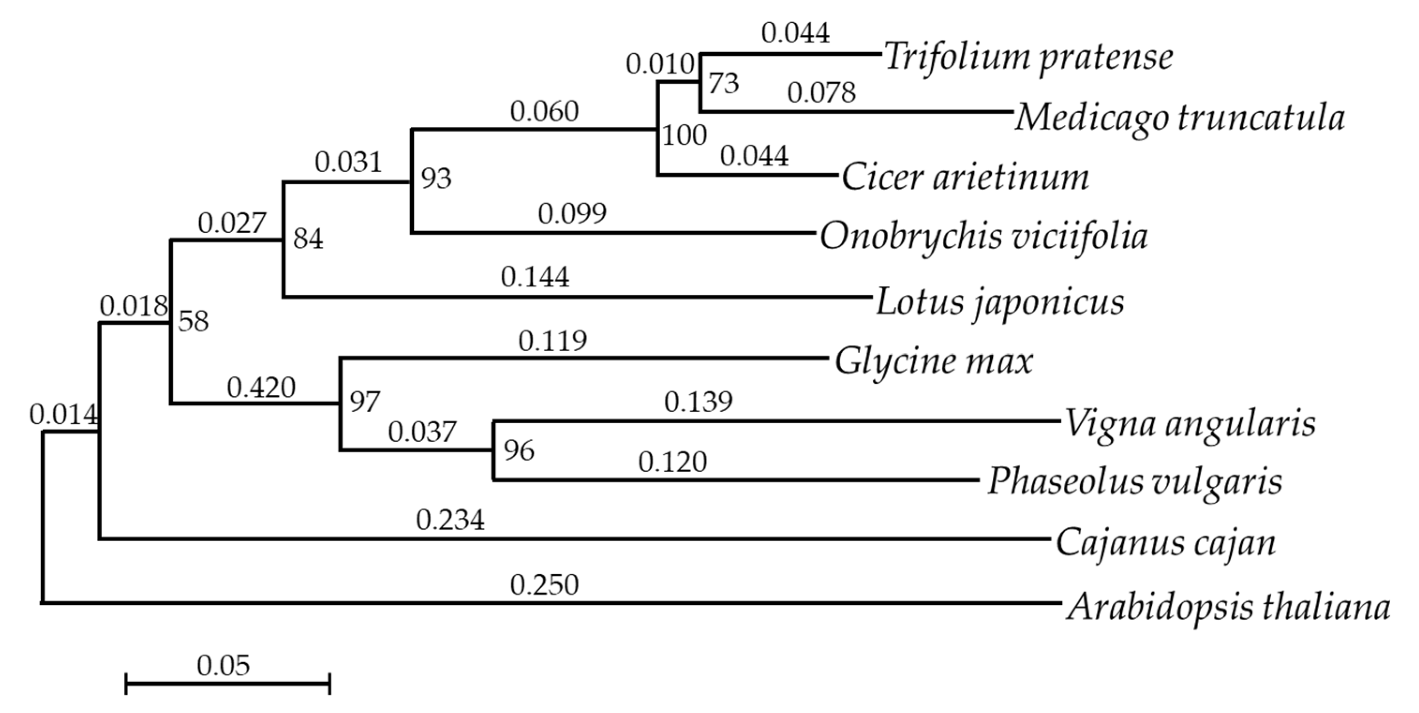 Biomolecules 10 00967 g001 Biomolecules 10 00967 g001