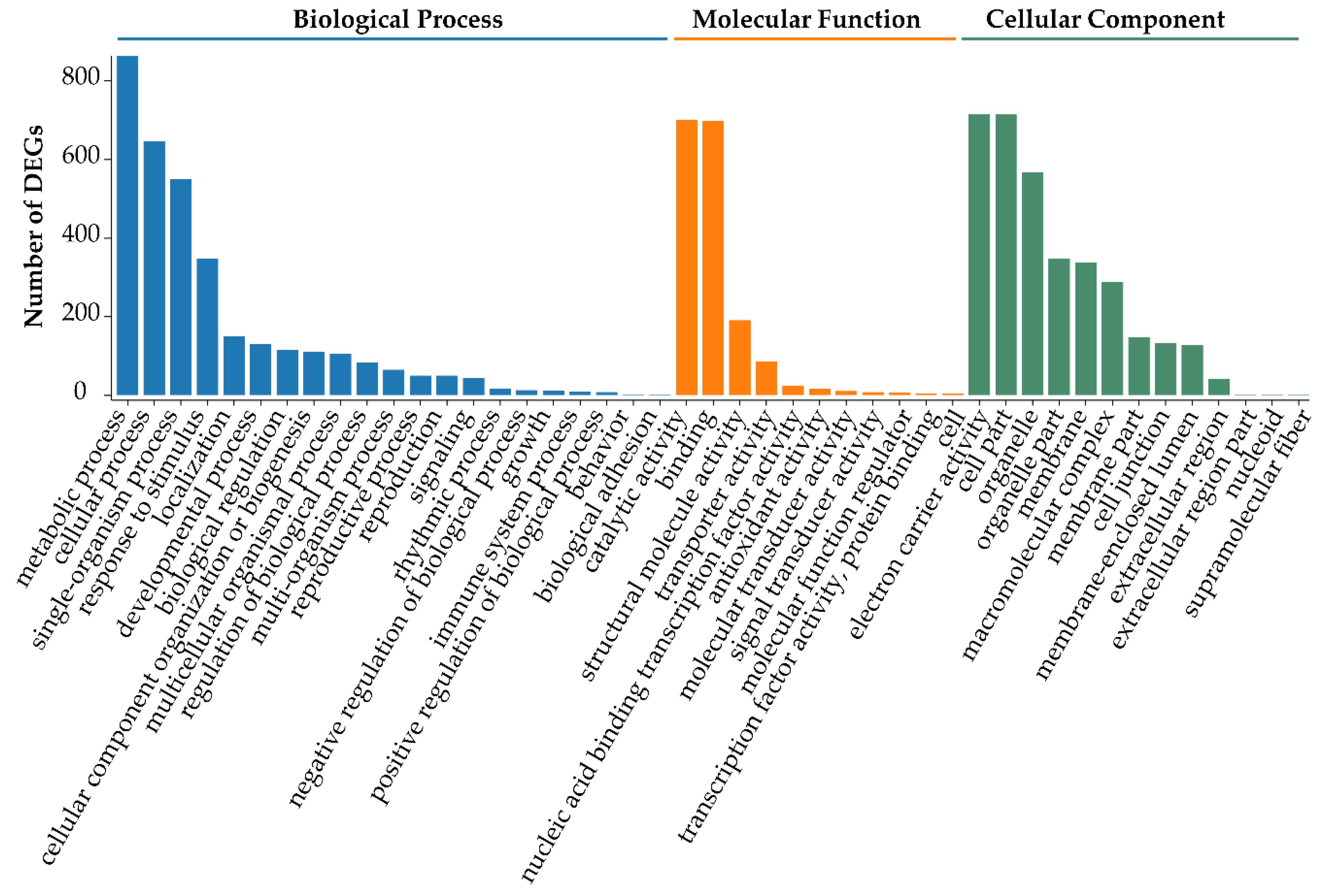 Biomolecules 10 00967 g003 Biomolecules 10 00967 g003