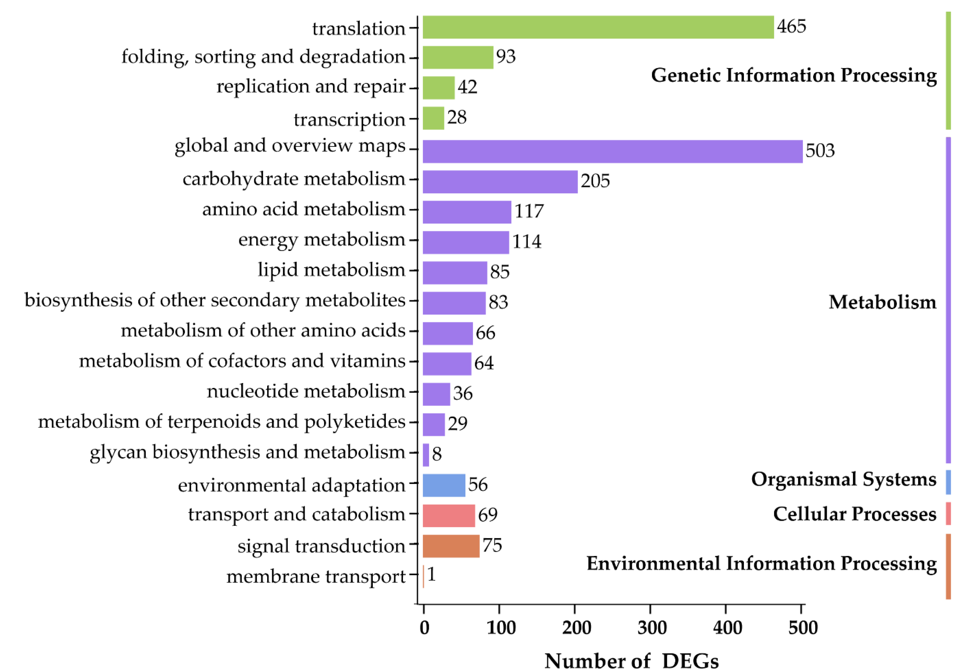 Biomolecules 10 00967 g004 Biomolecules 10 00967 g004