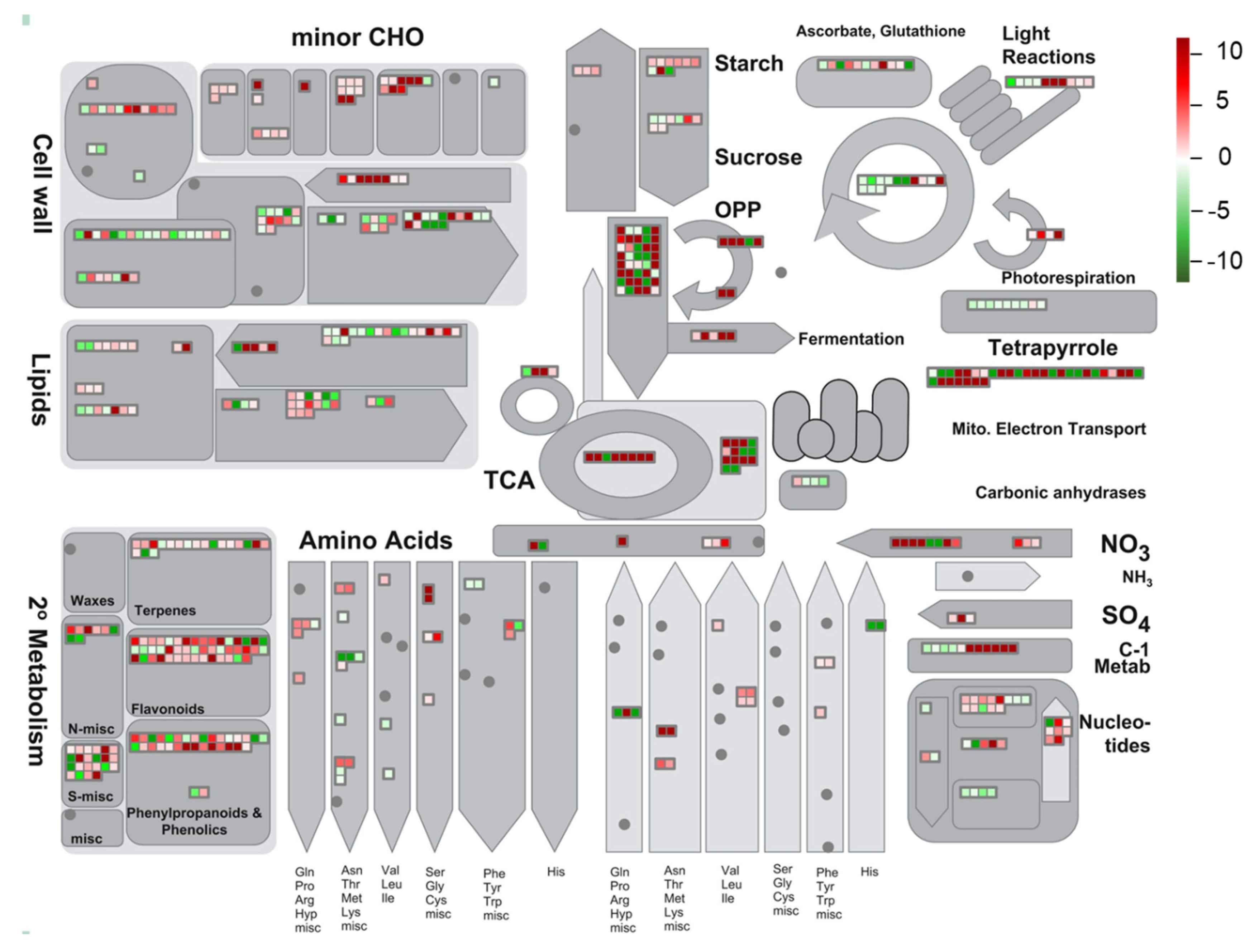 Biomolecules 10 00967 g006 Biomolecules 10 00967 g006
