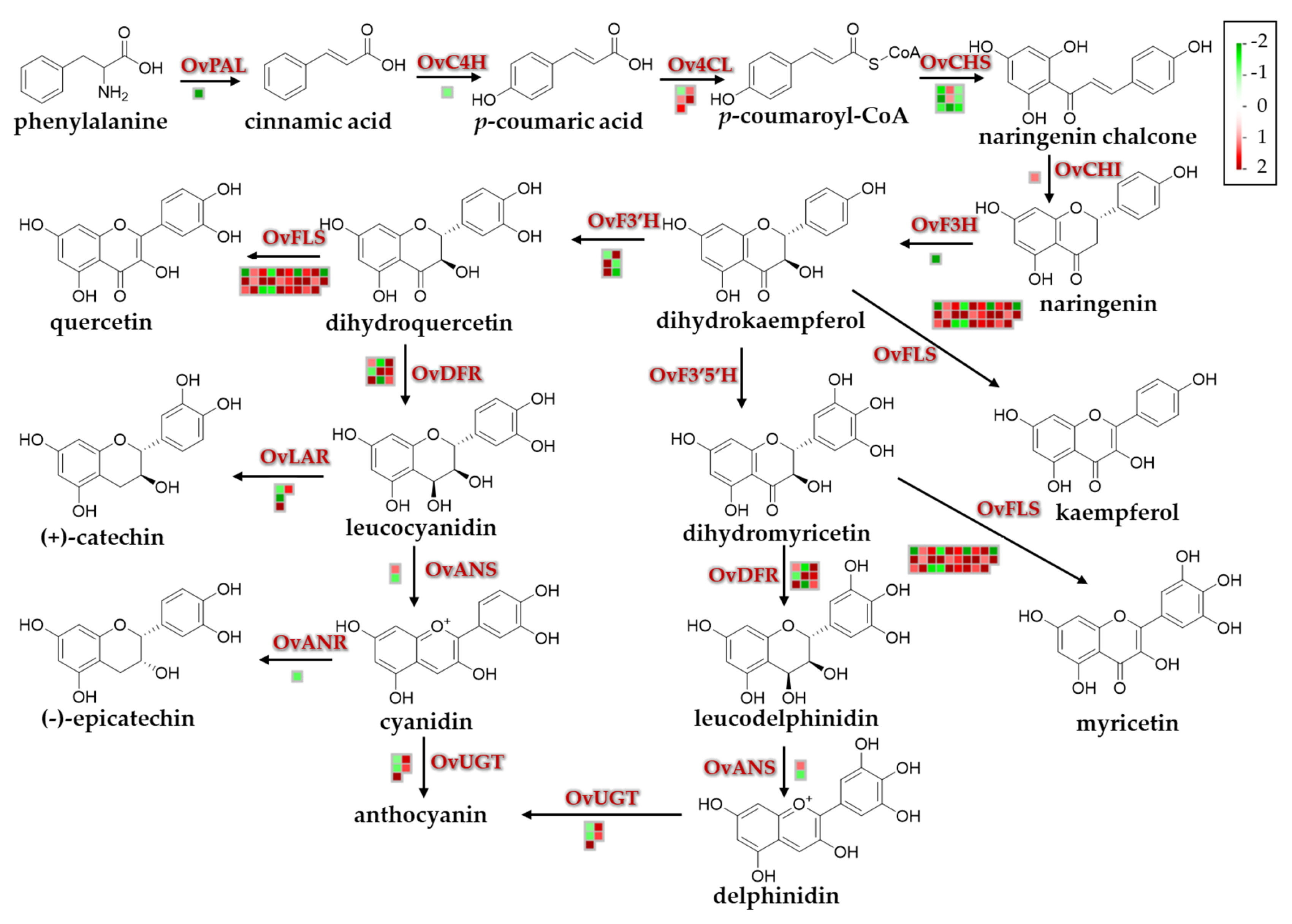 Biomolecules 10 00967 g007 Biomolecules 10 00967 g007