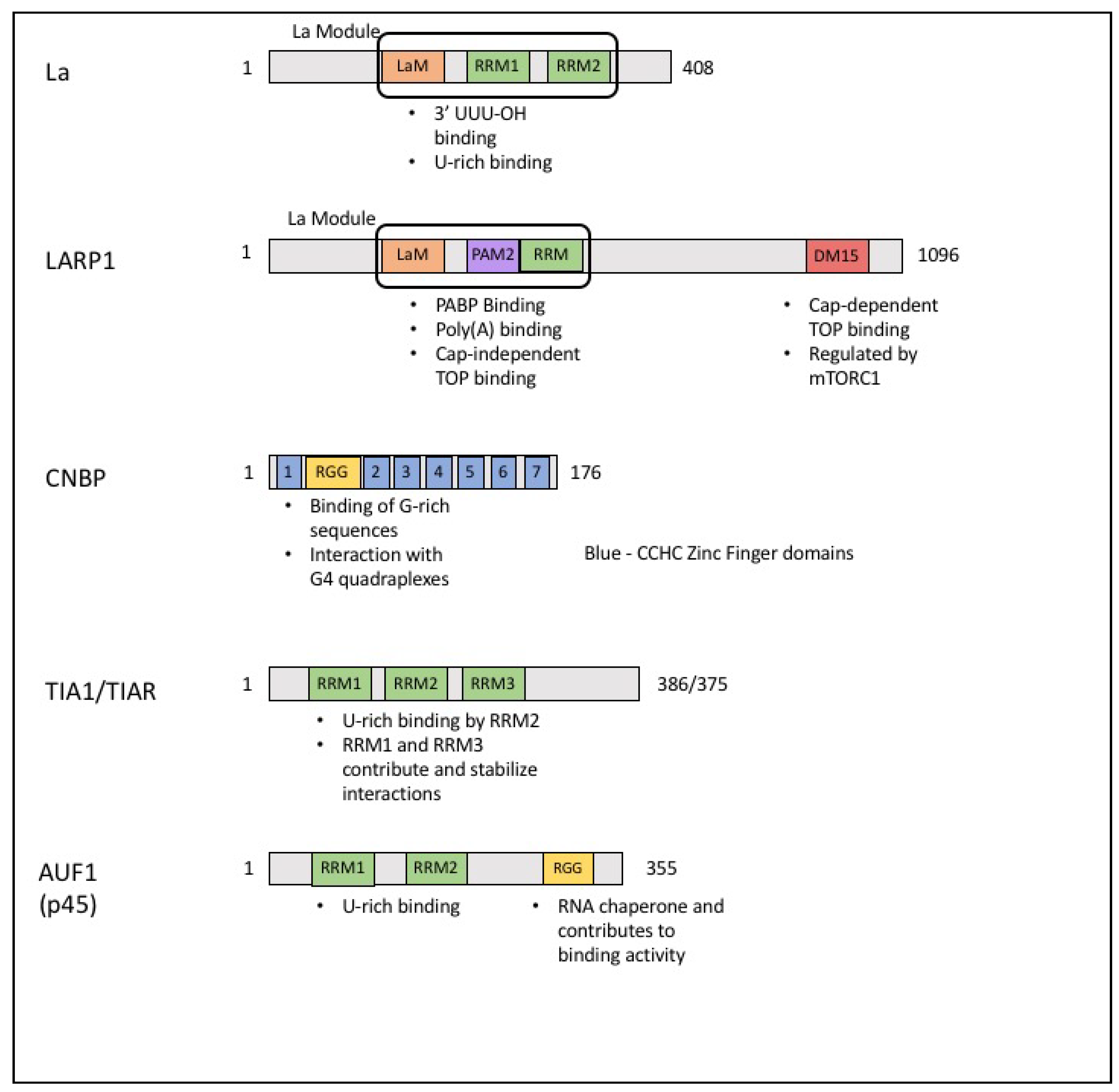 Biomolecules 10 00969 g002 Biomolecules 10 00969 g002