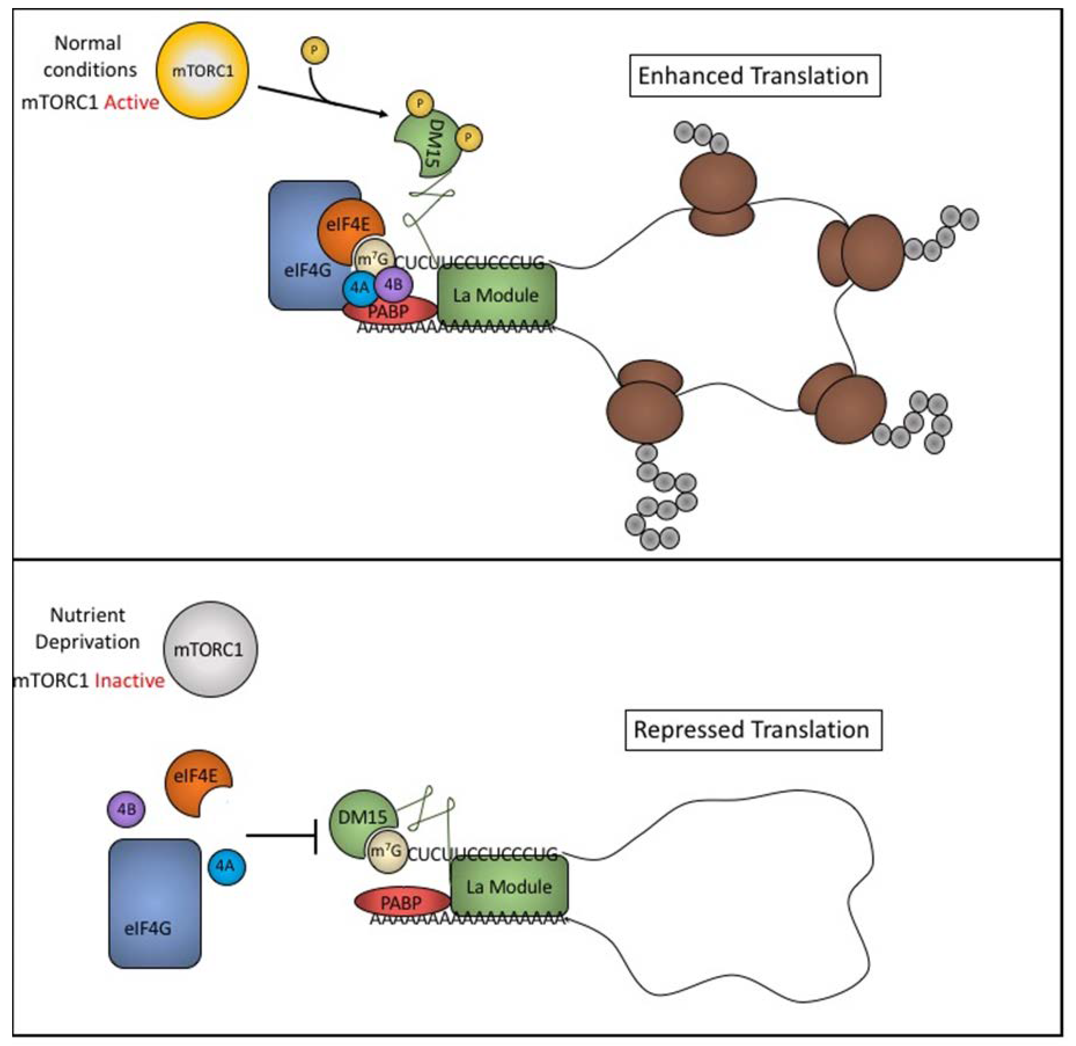 Biomolecules 10 00969 g003 Biomolecules 10 00969 g003