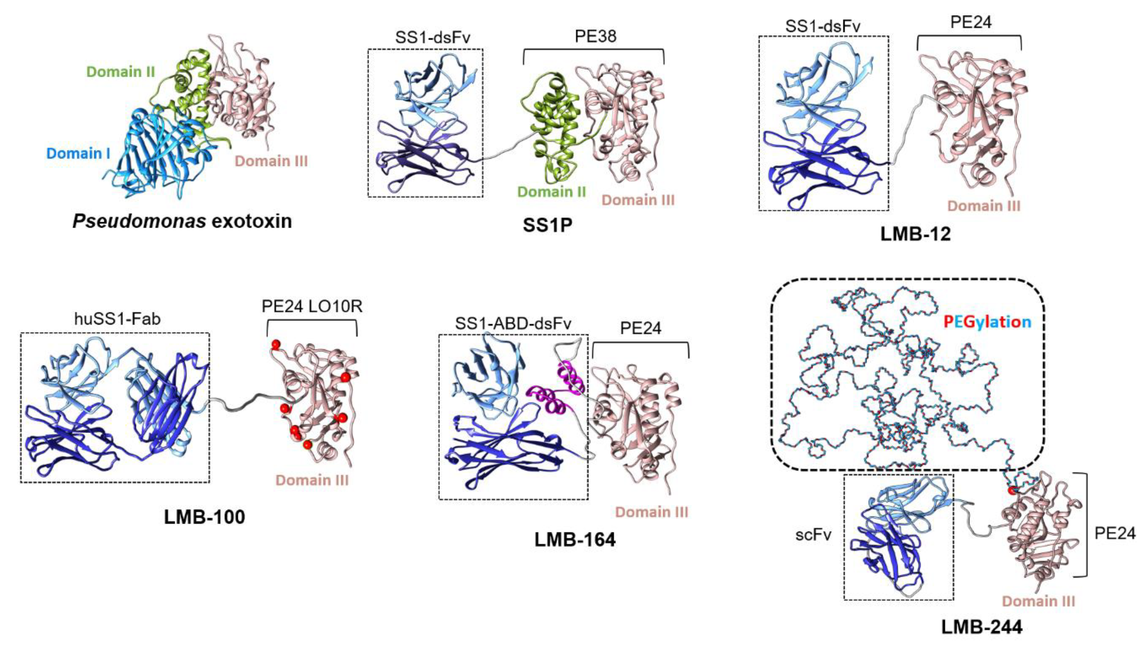 Biomolecules 10 00973 g001 Biomolecules 10 00973 g001