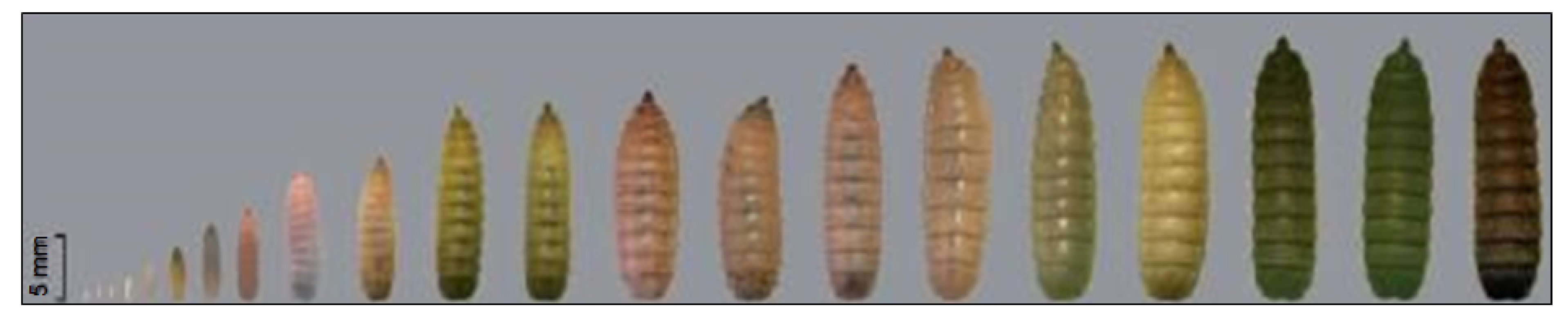 Biomolecules 10 00976 g002 Biomolecules 10 00976 g002
