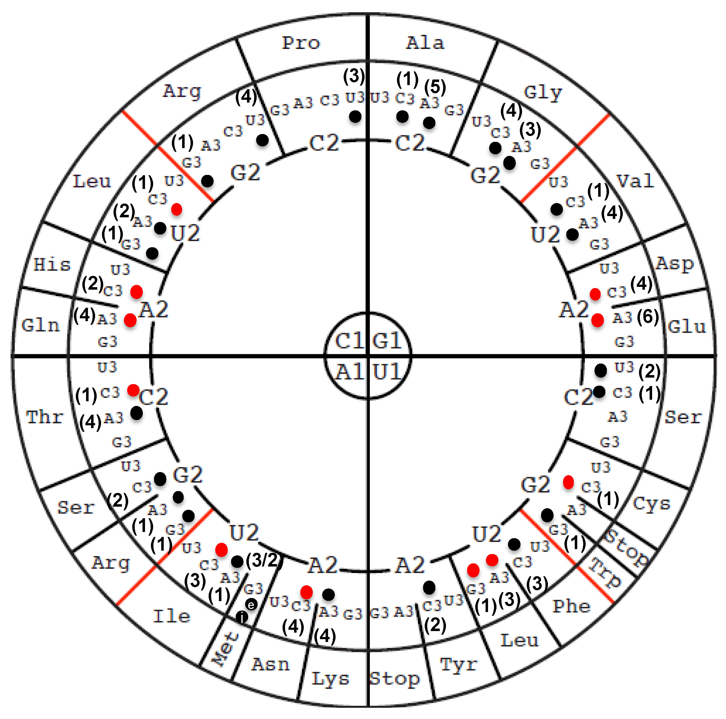 Biomolecules 10 00977 g002
