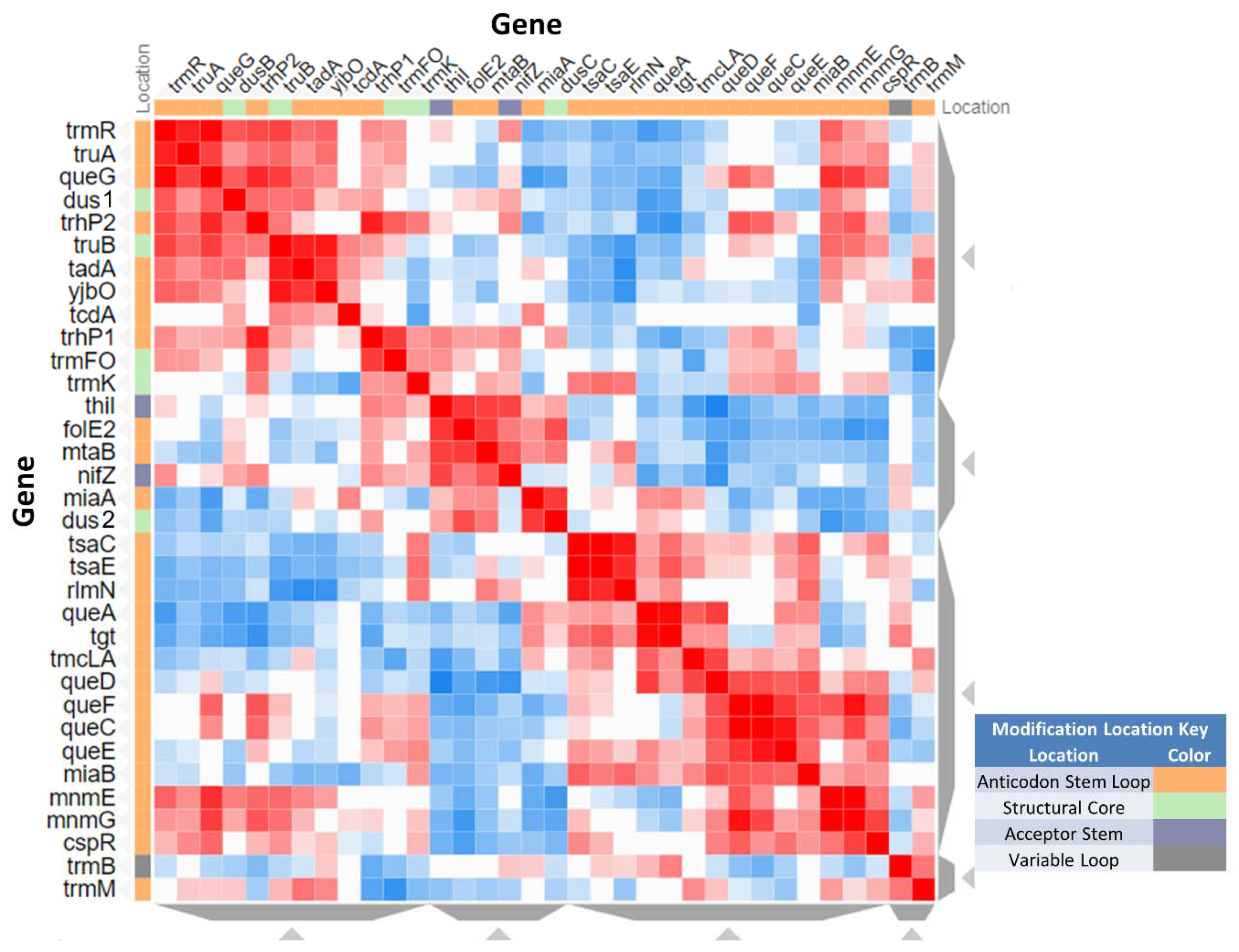 Biomolecules 10 00977 g005