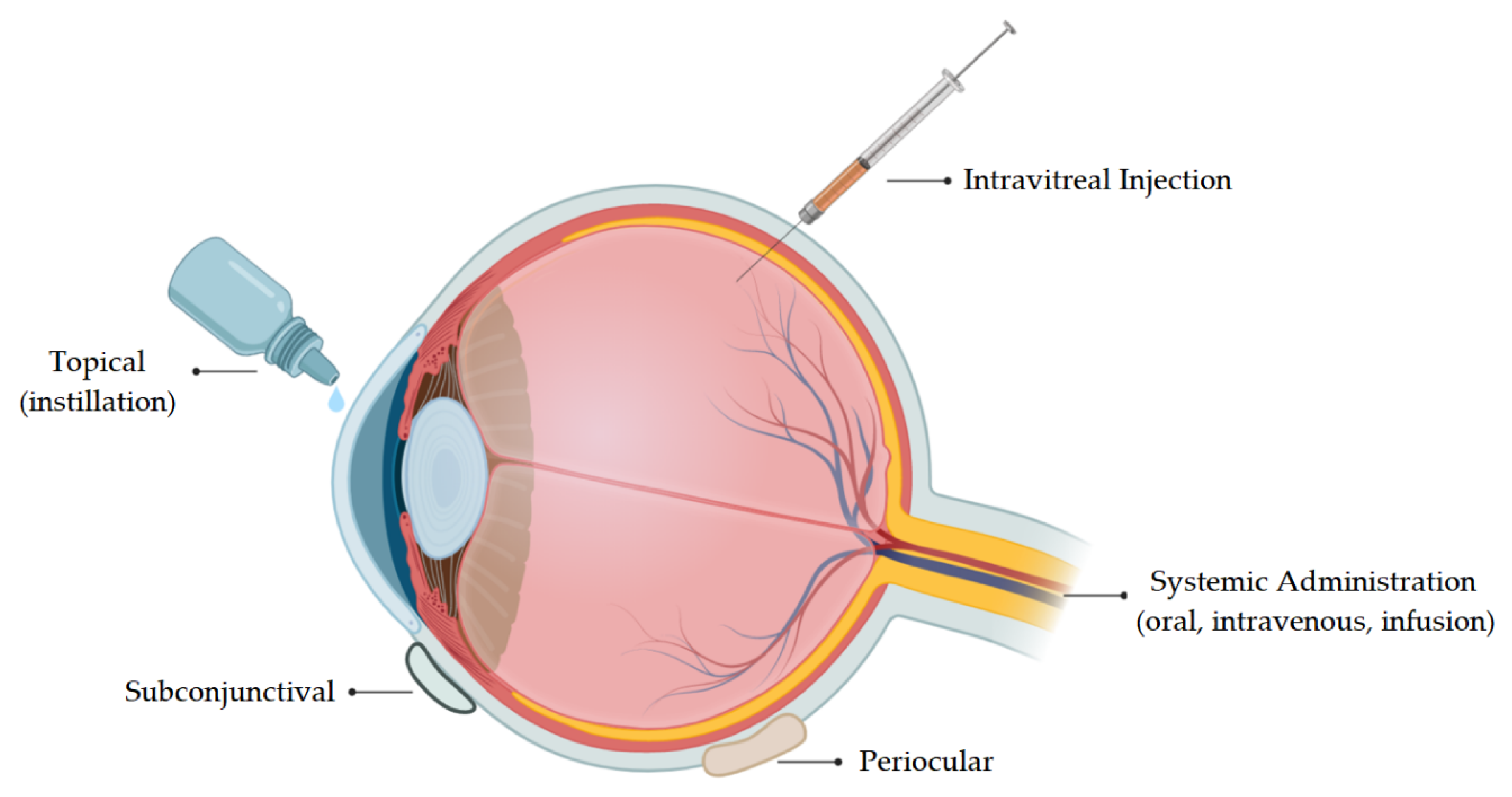 Biomolecules 10 00980 g002 Biomolecules 10 00980 g002
