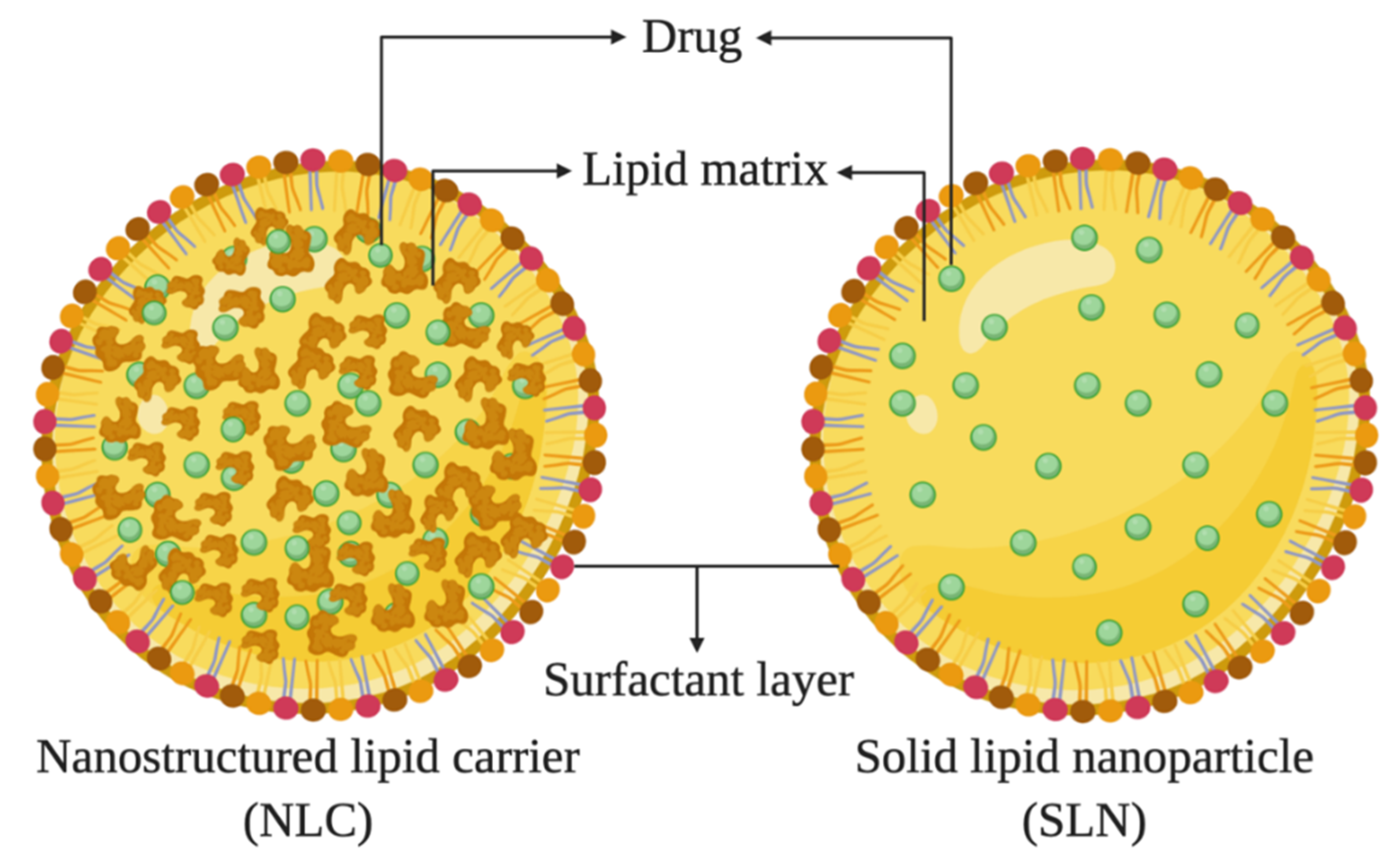 Biomolecules 10 00980 g004 Biomolecules 10 00980 g004