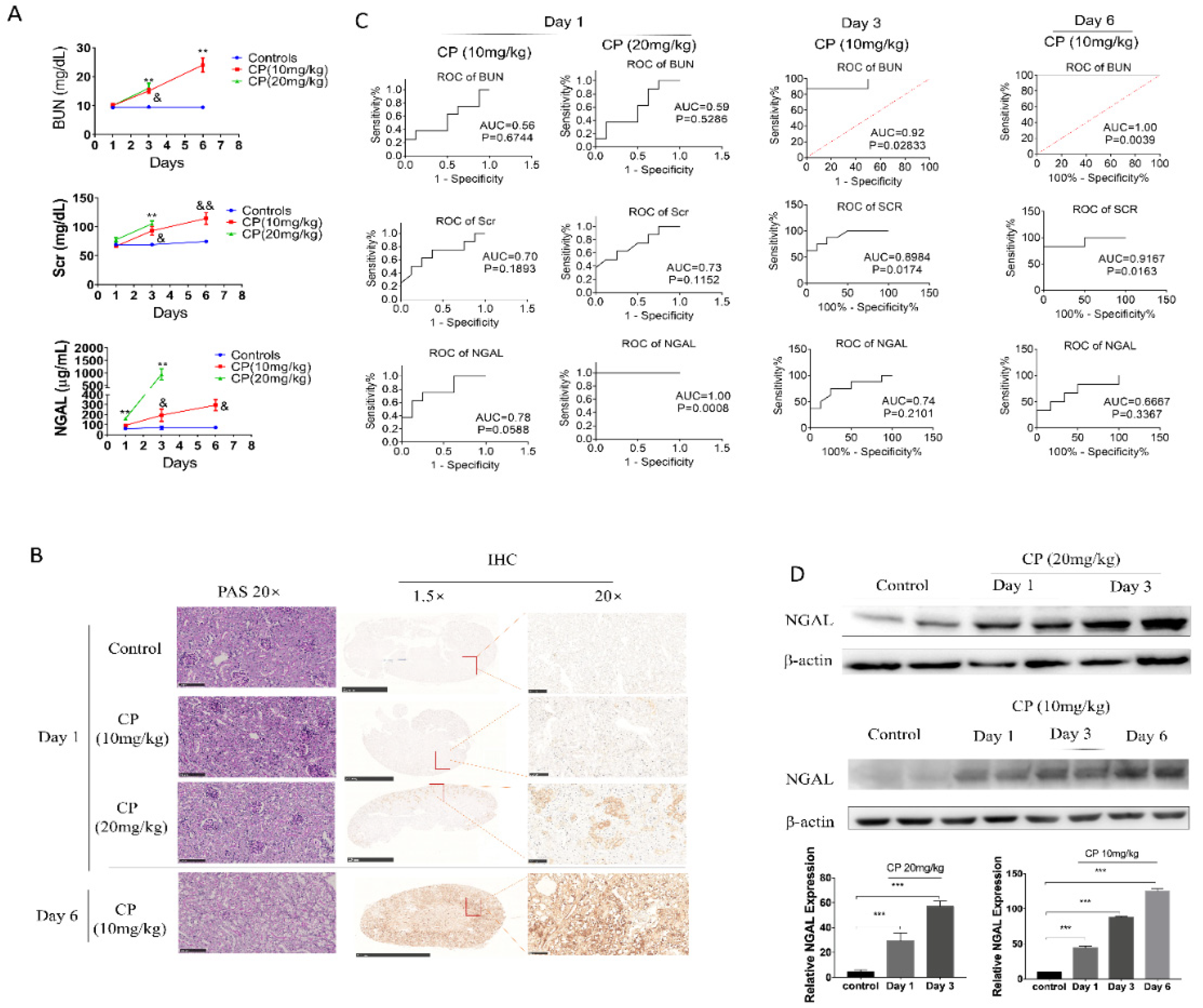 Biomolecules 10 00981 g002