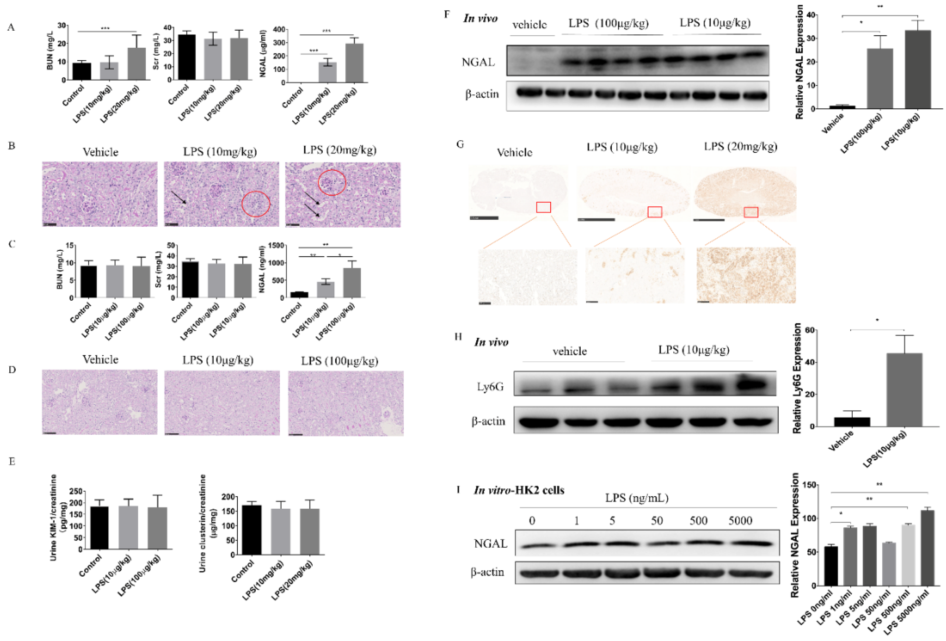 Biomolecules 10 00981 g003
