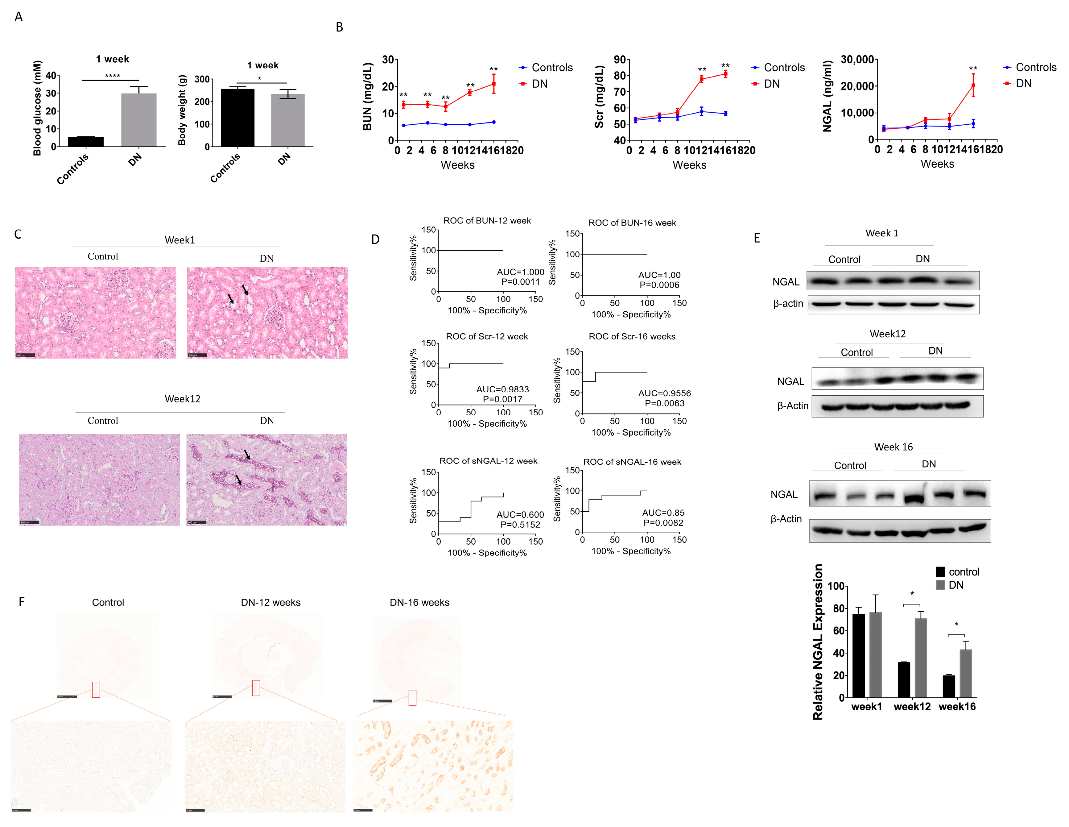 Biomolecules 10 00981 g004
