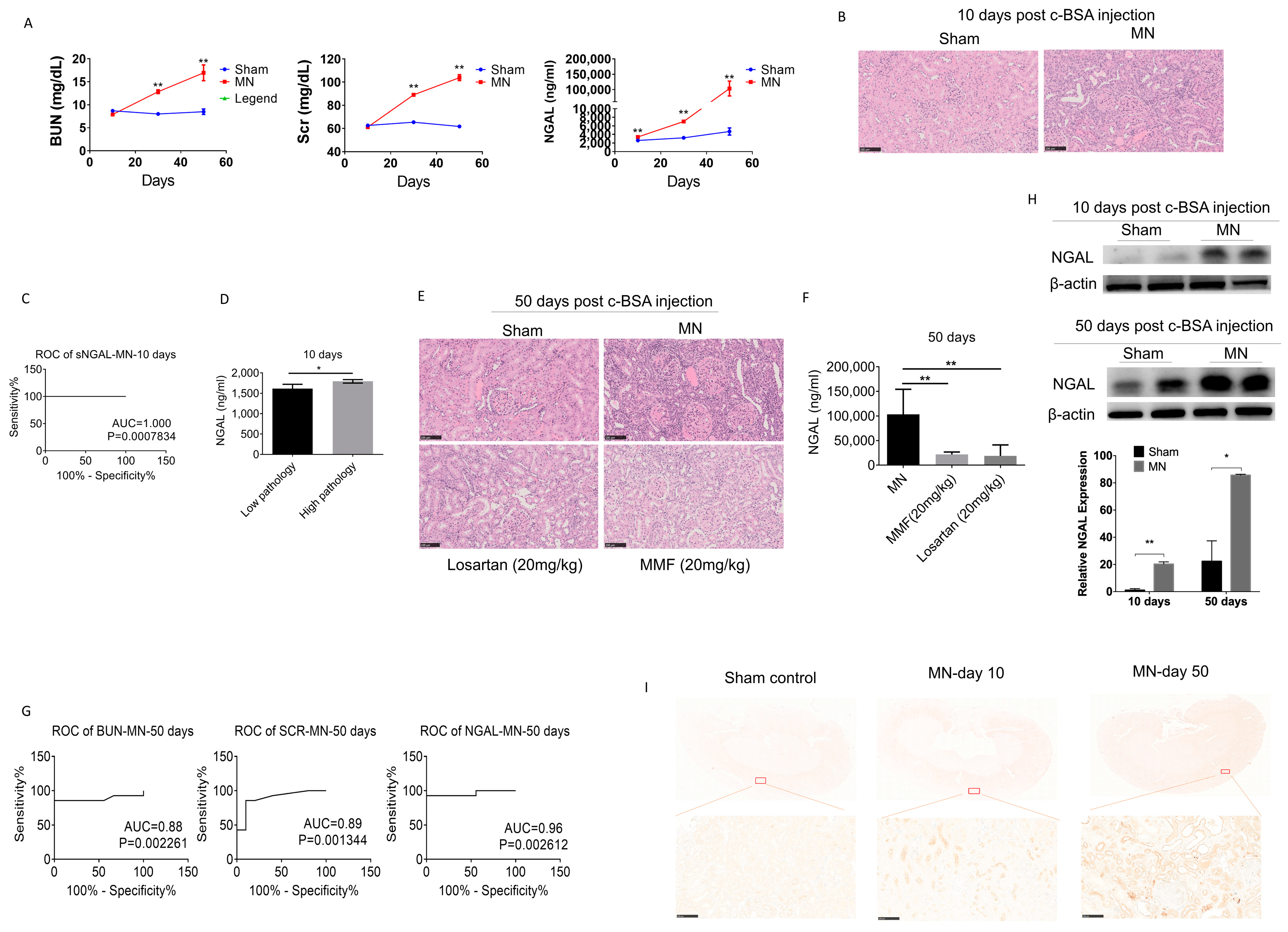 Biomolecules 10 00981 g005