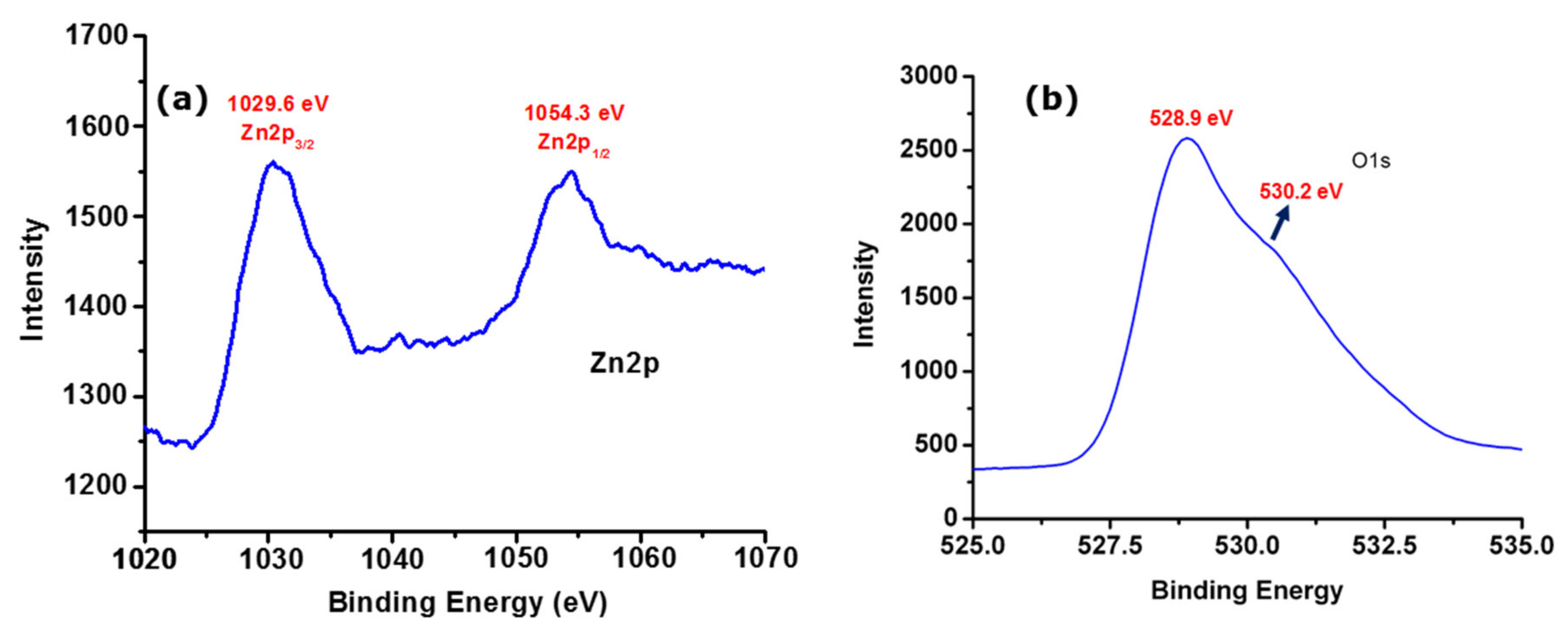 Biomolecules 10 00982 g005 Biomolecules 10 00982 g005