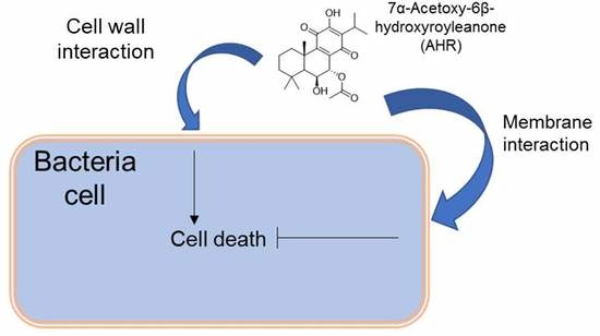 Biomolecules | Special Issue : Selected Papers from Bio.Natural Meeting ...
