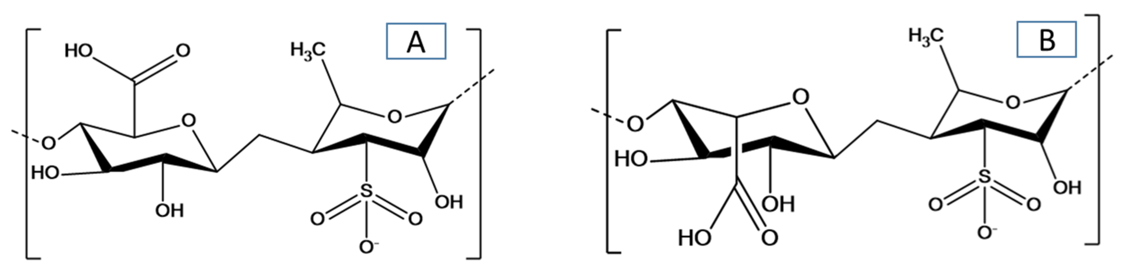 Biomolecules 10 00991 g001