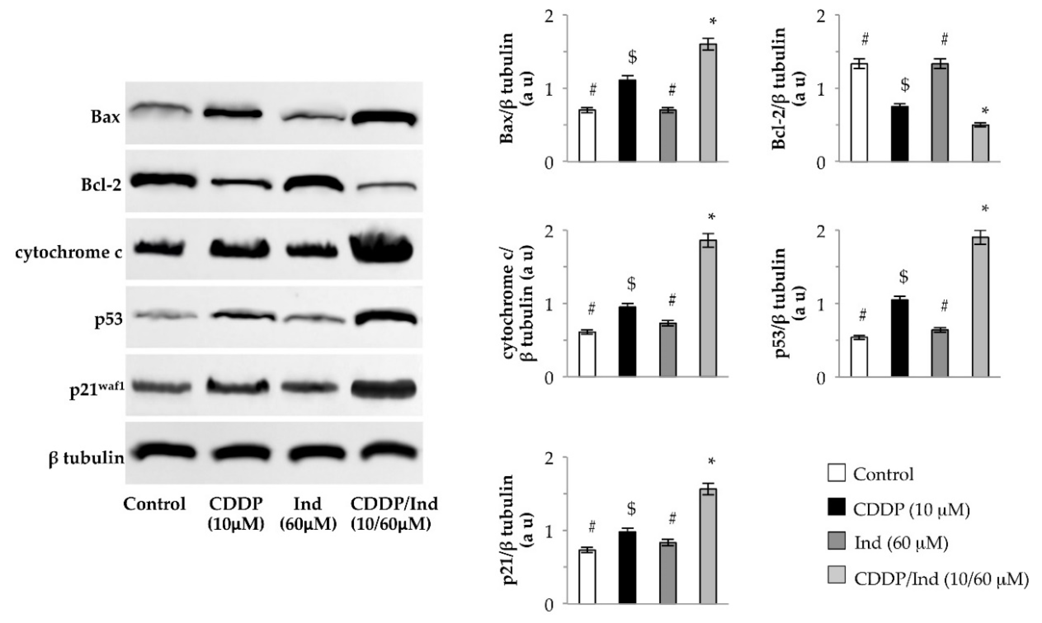 Biomolecules 10 00994 g007