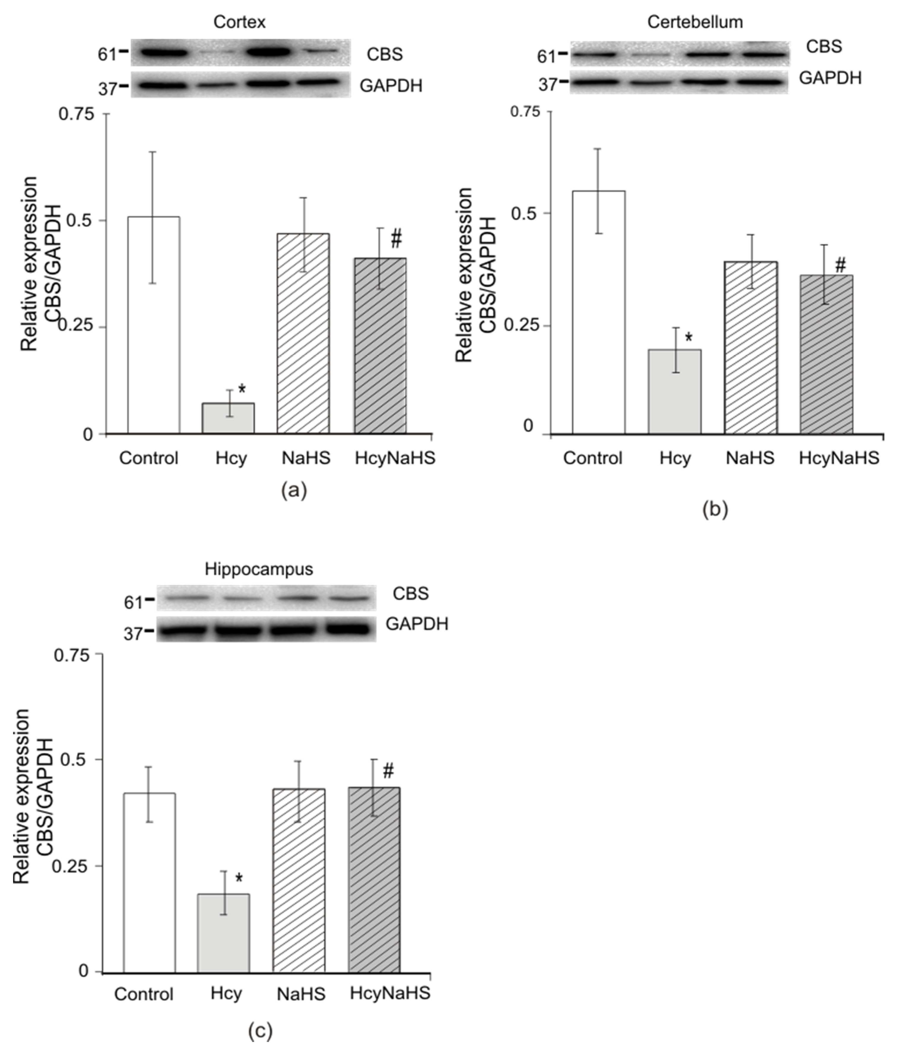 Biomolecules 10 00995 g008 Biomolecules 10 00995 g008