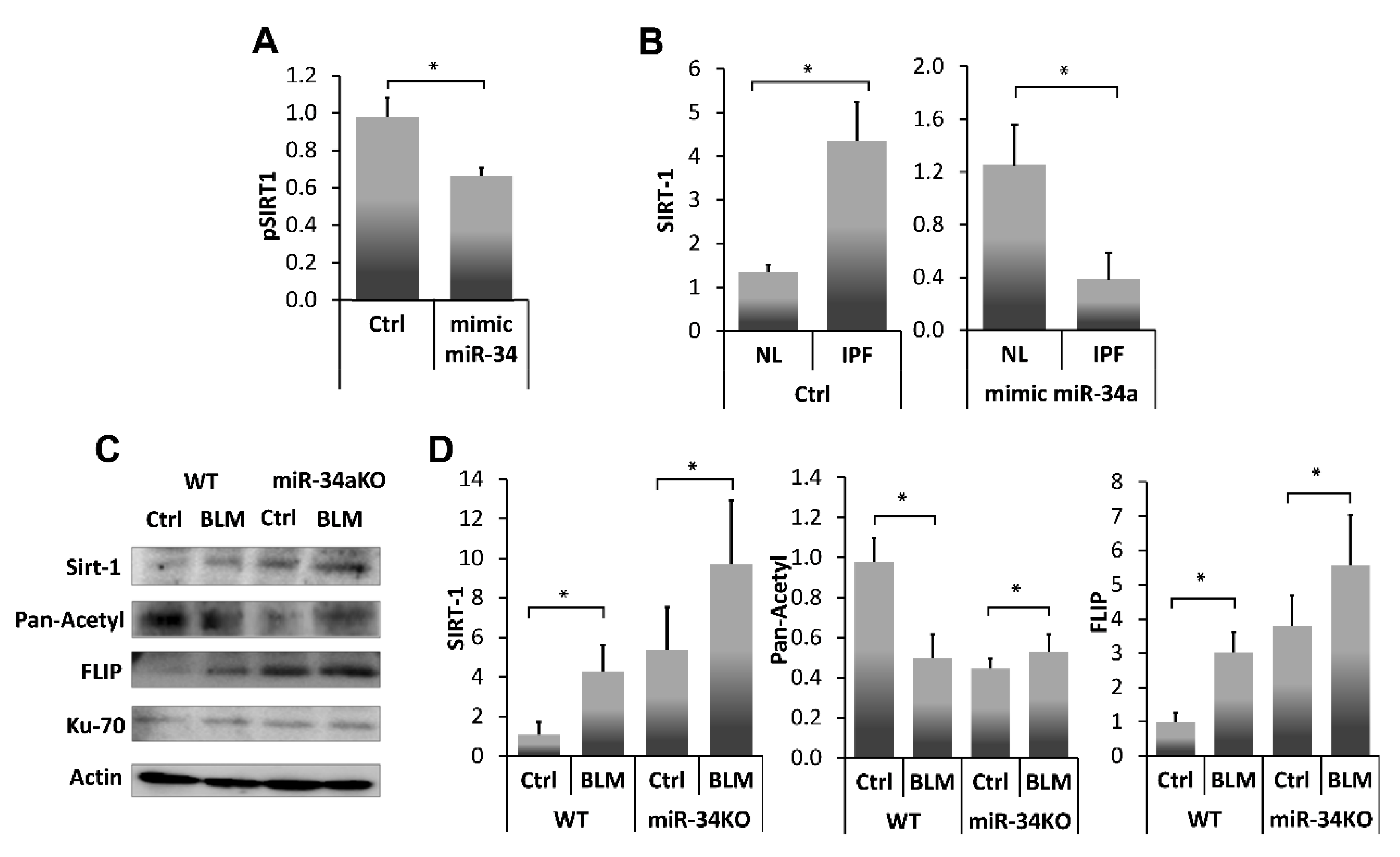 Biomolecules 10 00996 g004 Biomolecules 10 00996 g004