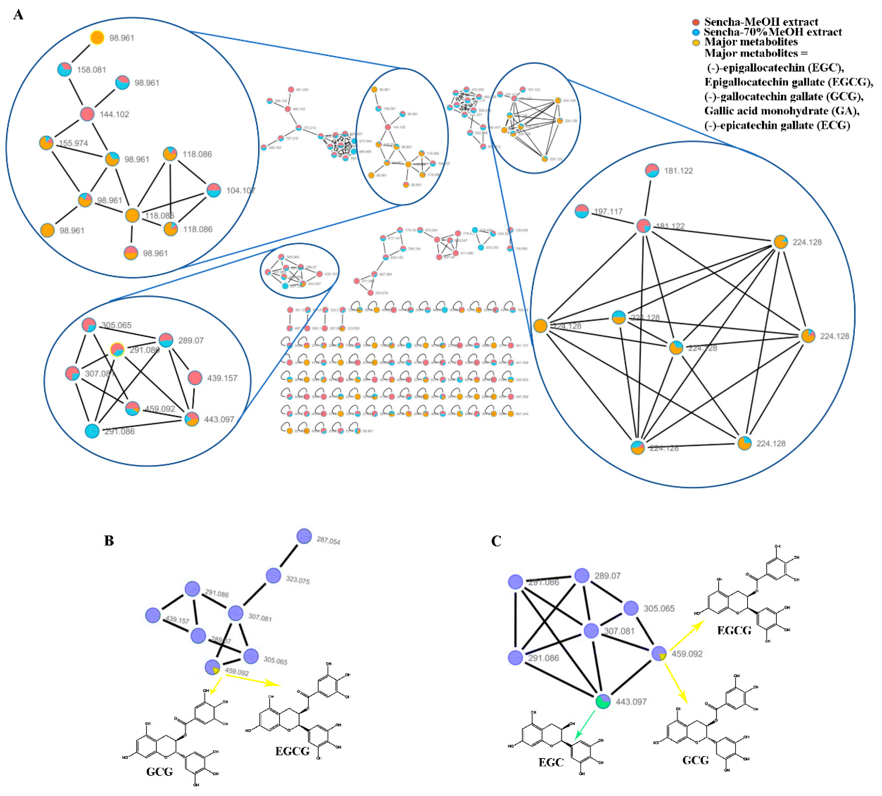 Biomolecules 10 01000 g001