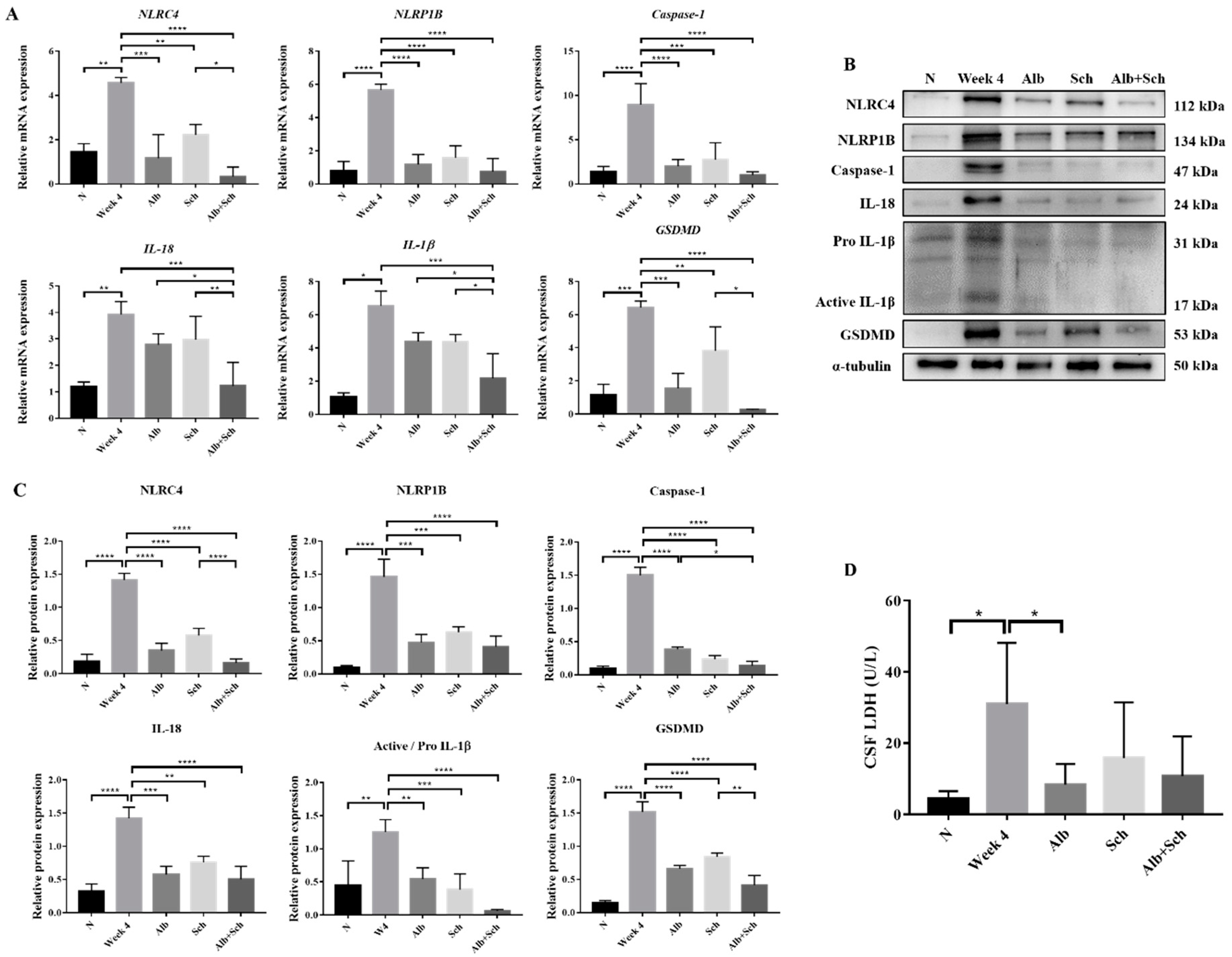 Biomolecules 10 01001 g003