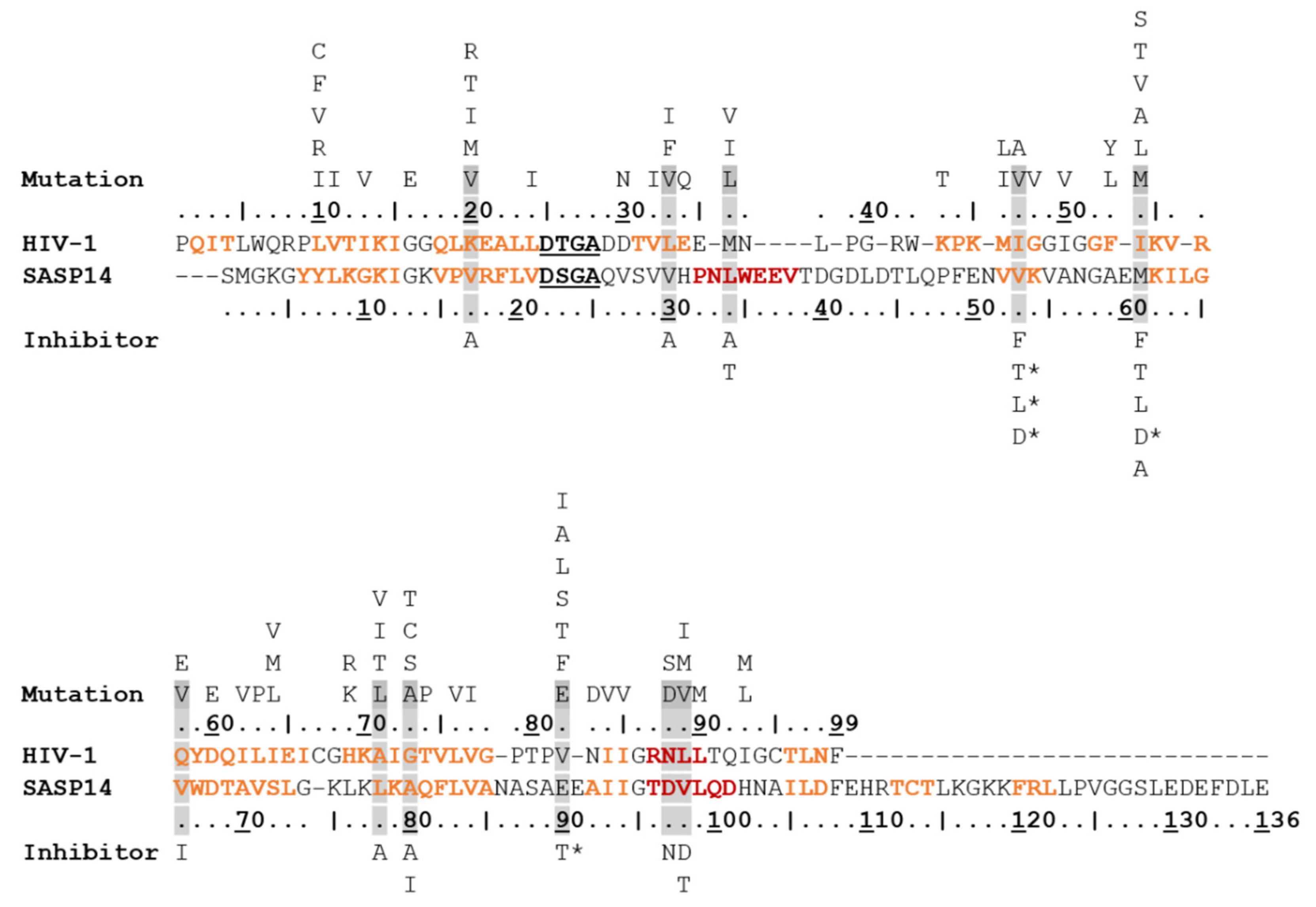 Biomolecules 10 01004 g009