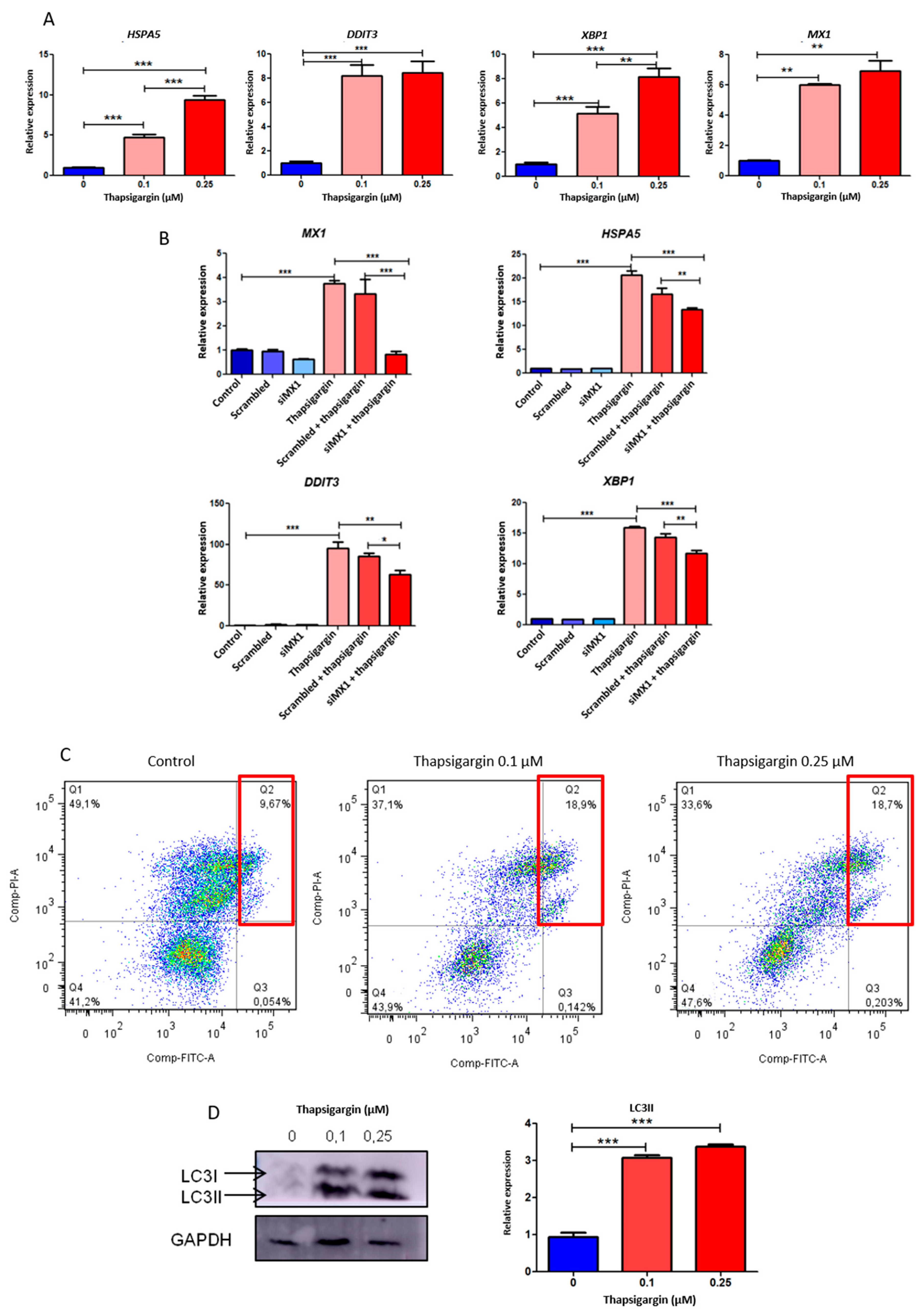 Biomolecules 10 01005 g004