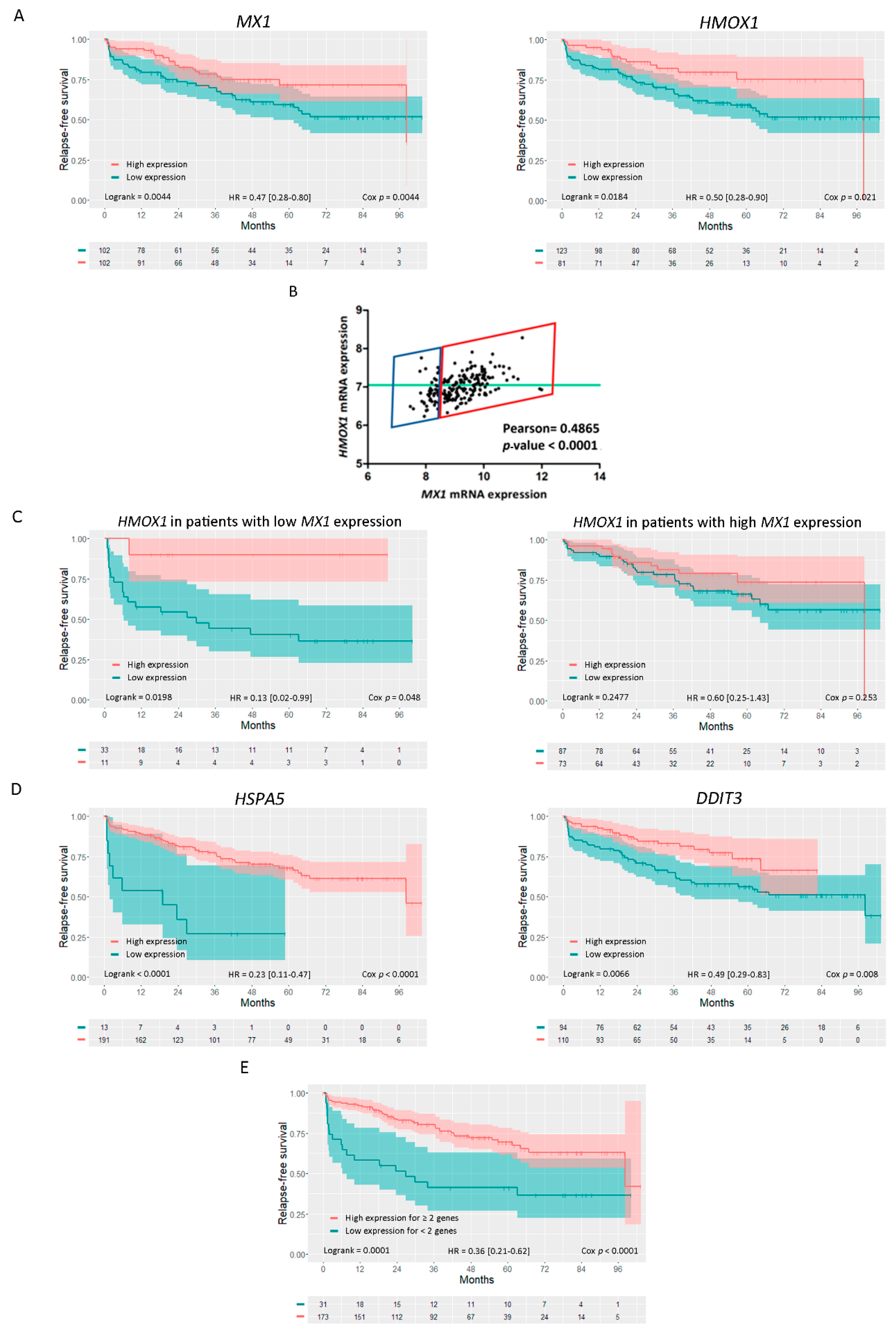 Biomolecules 10 01005 g005