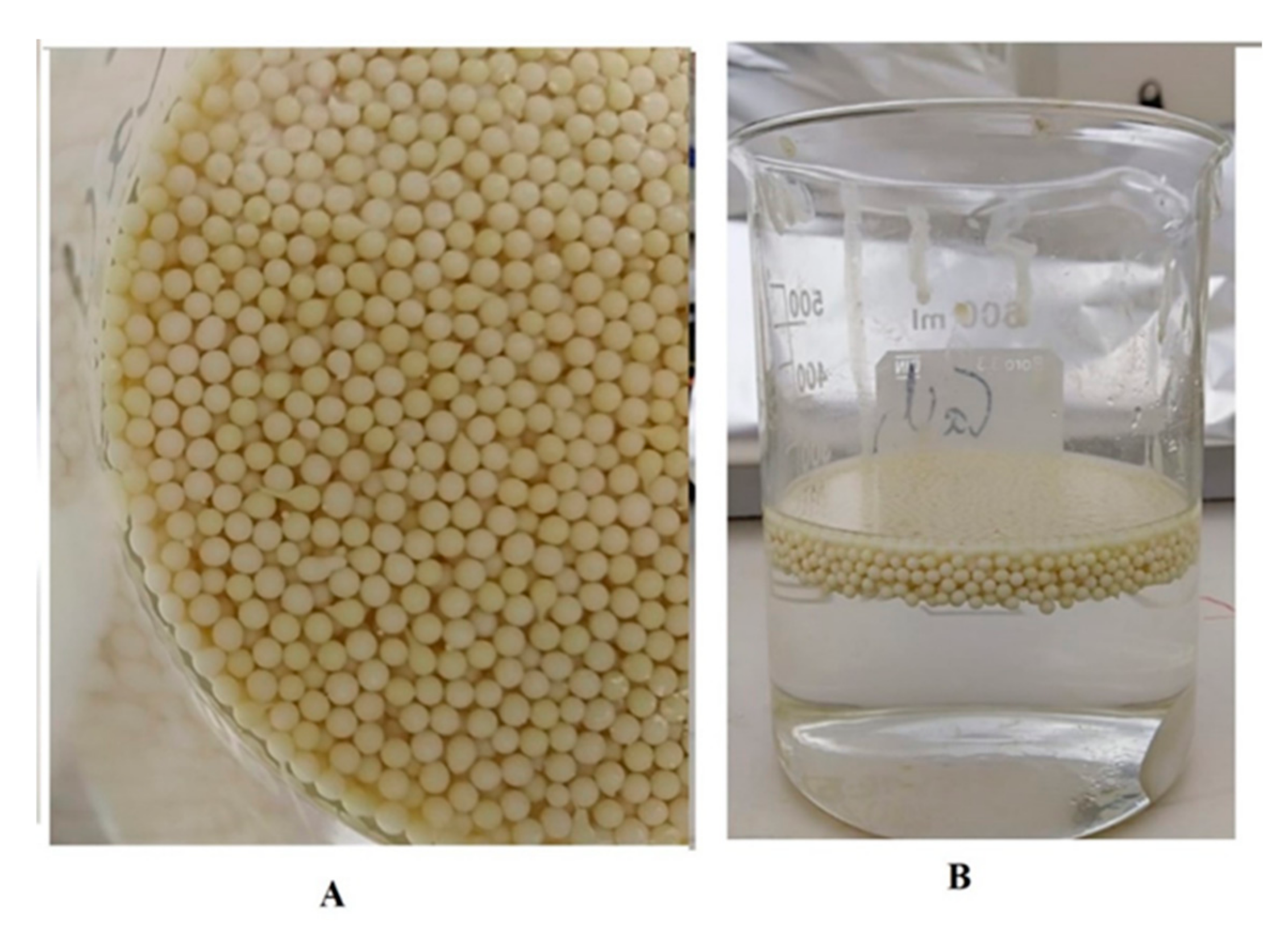 Biomolecules 10 01006 g001 Biomolecules 10 01006 g001