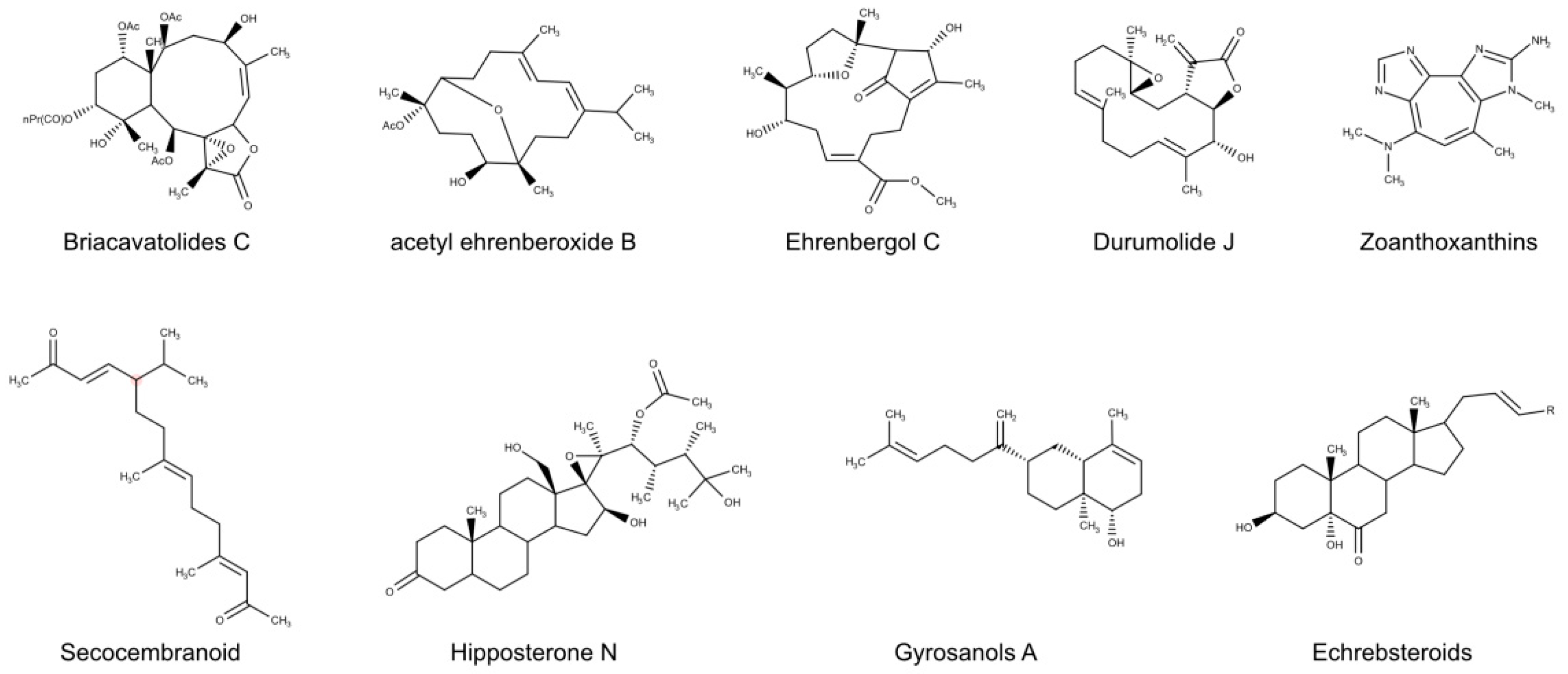 Biomolecules 10 01007 g005 Biomolecules 10 01007 g005
