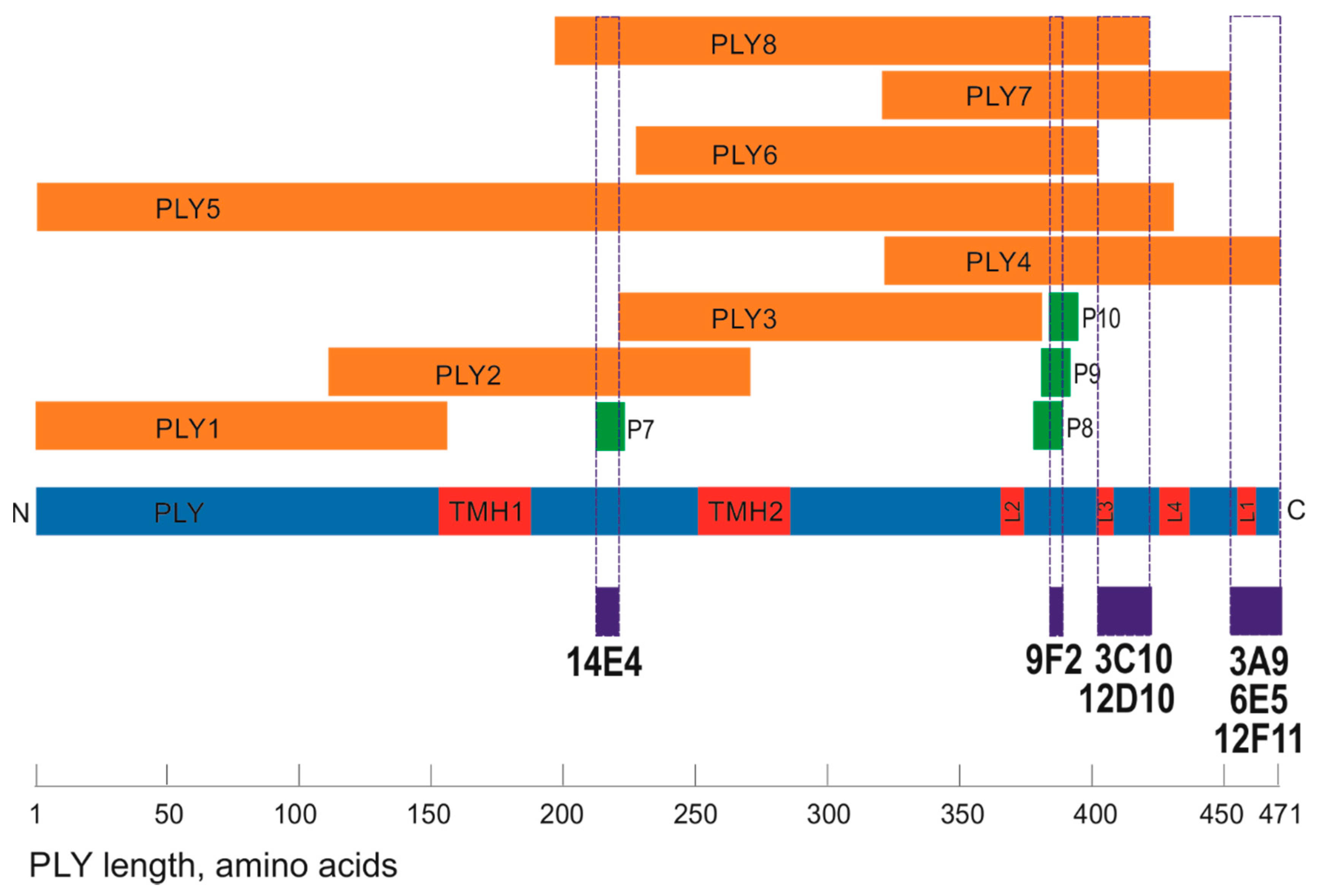 Biomolecules 10 01009 g003 Biomolecules 10 01009 g003