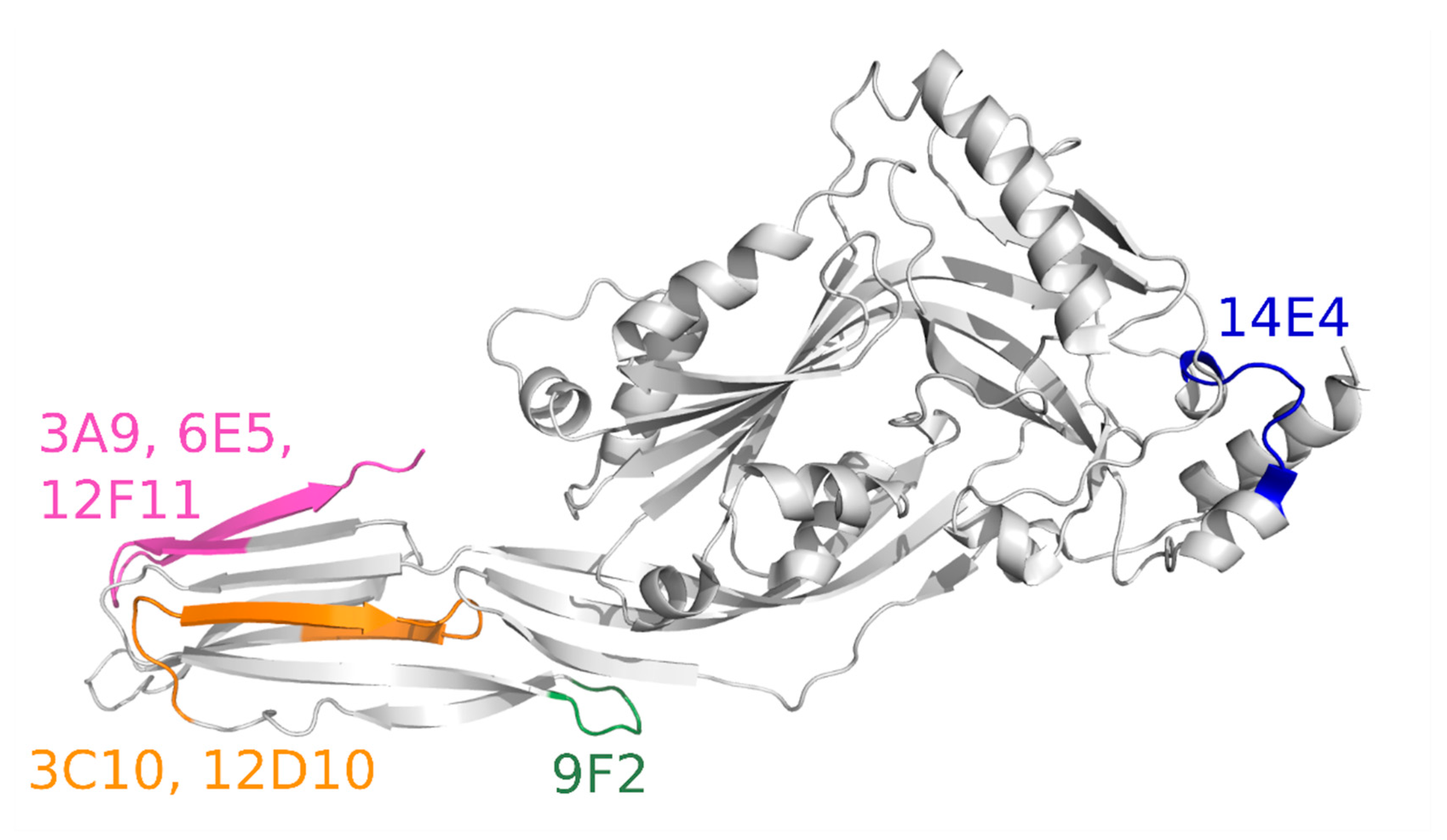 Biomolecules 10 01009 g004 Biomolecules 10 01009 g004