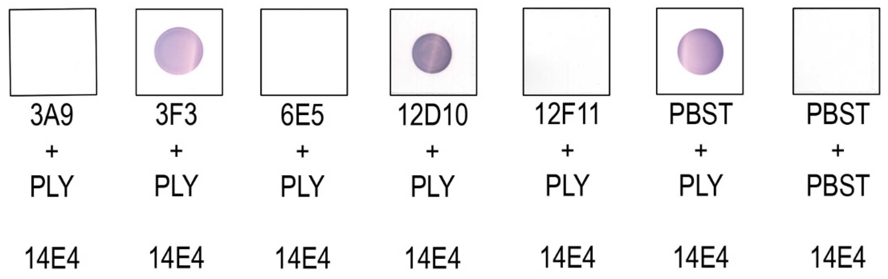 Biomolecules 10 01009 g006 Biomolecules 10 01009 g006