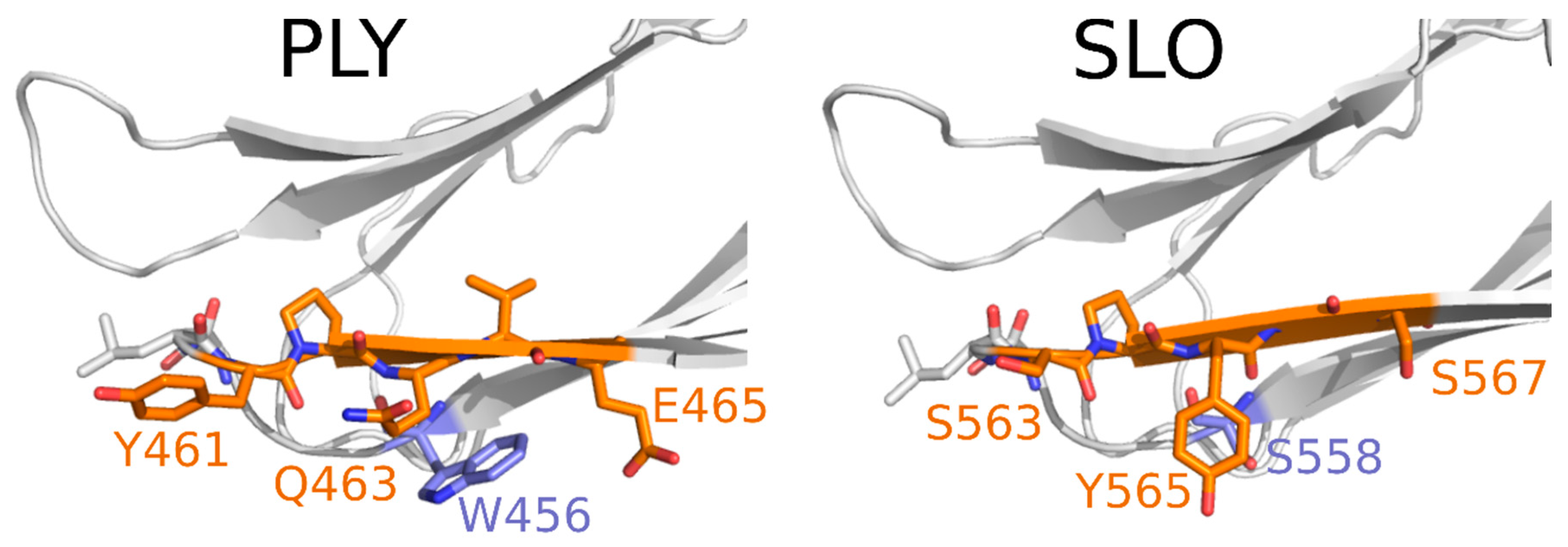 Biomolecules 10 01009 g008 Biomolecules 10 01009 g008