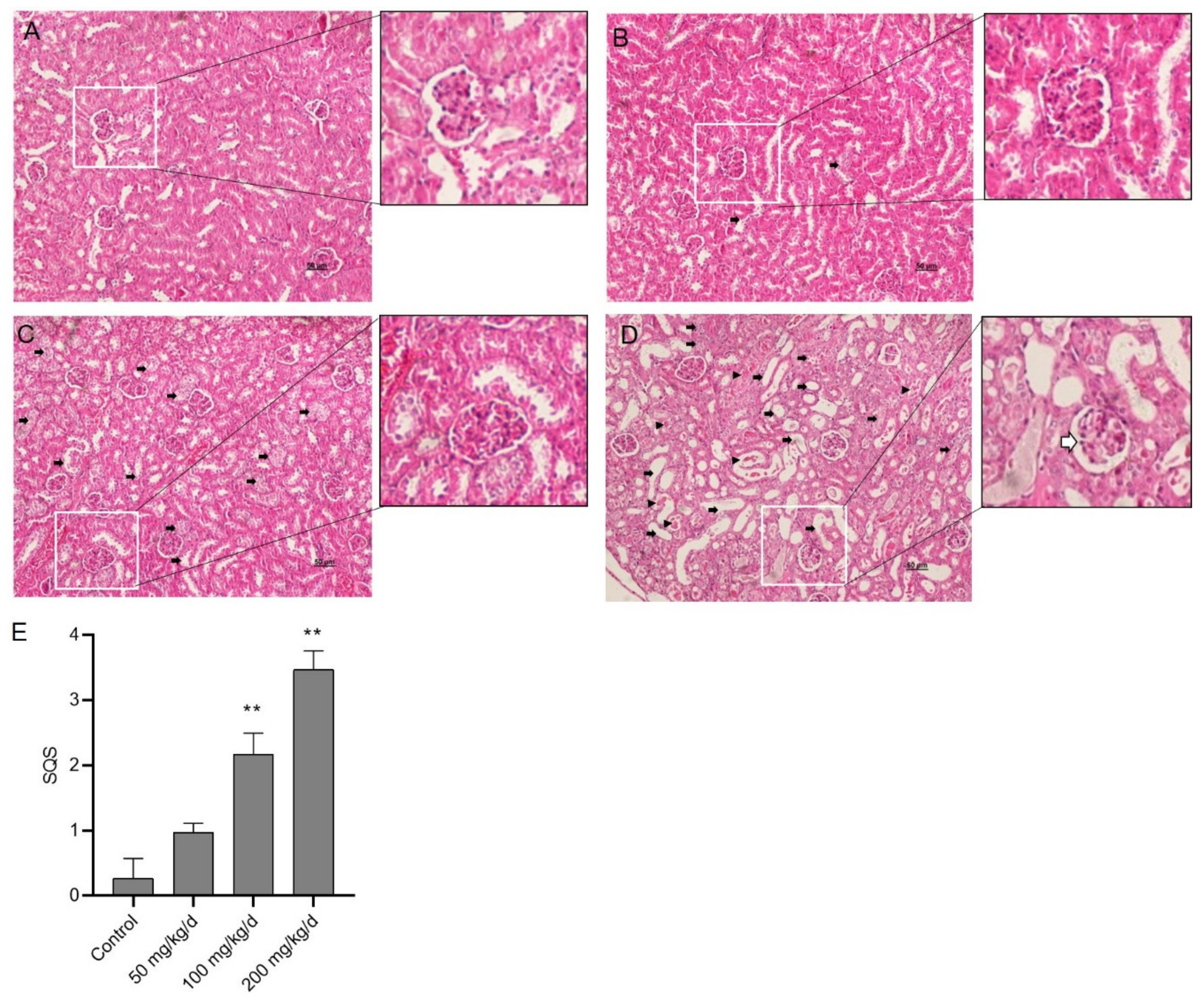 Biomolecules 10 01010 g002 Biomolecules 10 01010 g002