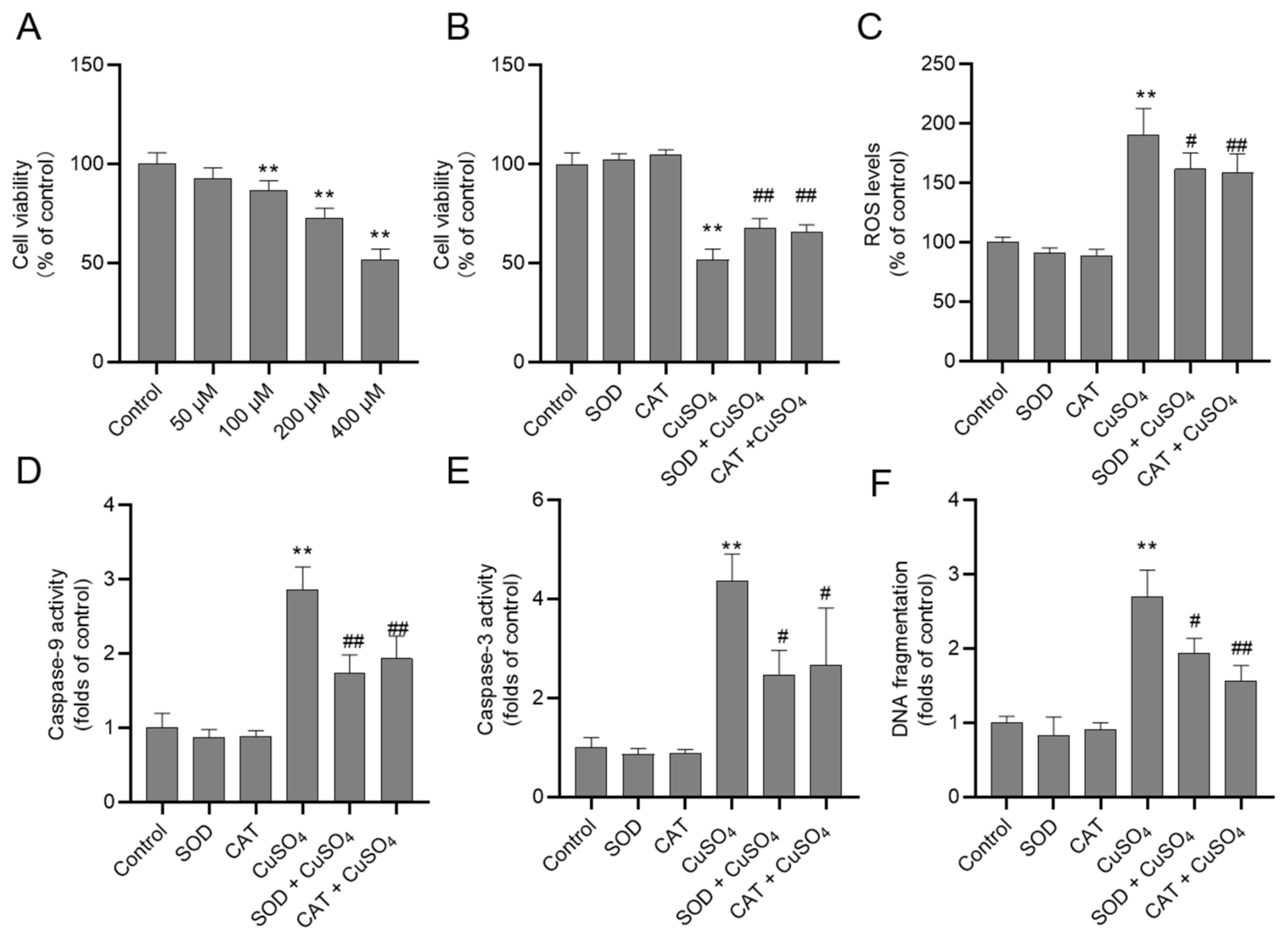 Biomolecules 10 01010 g005 Biomolecules 10 01010 g005