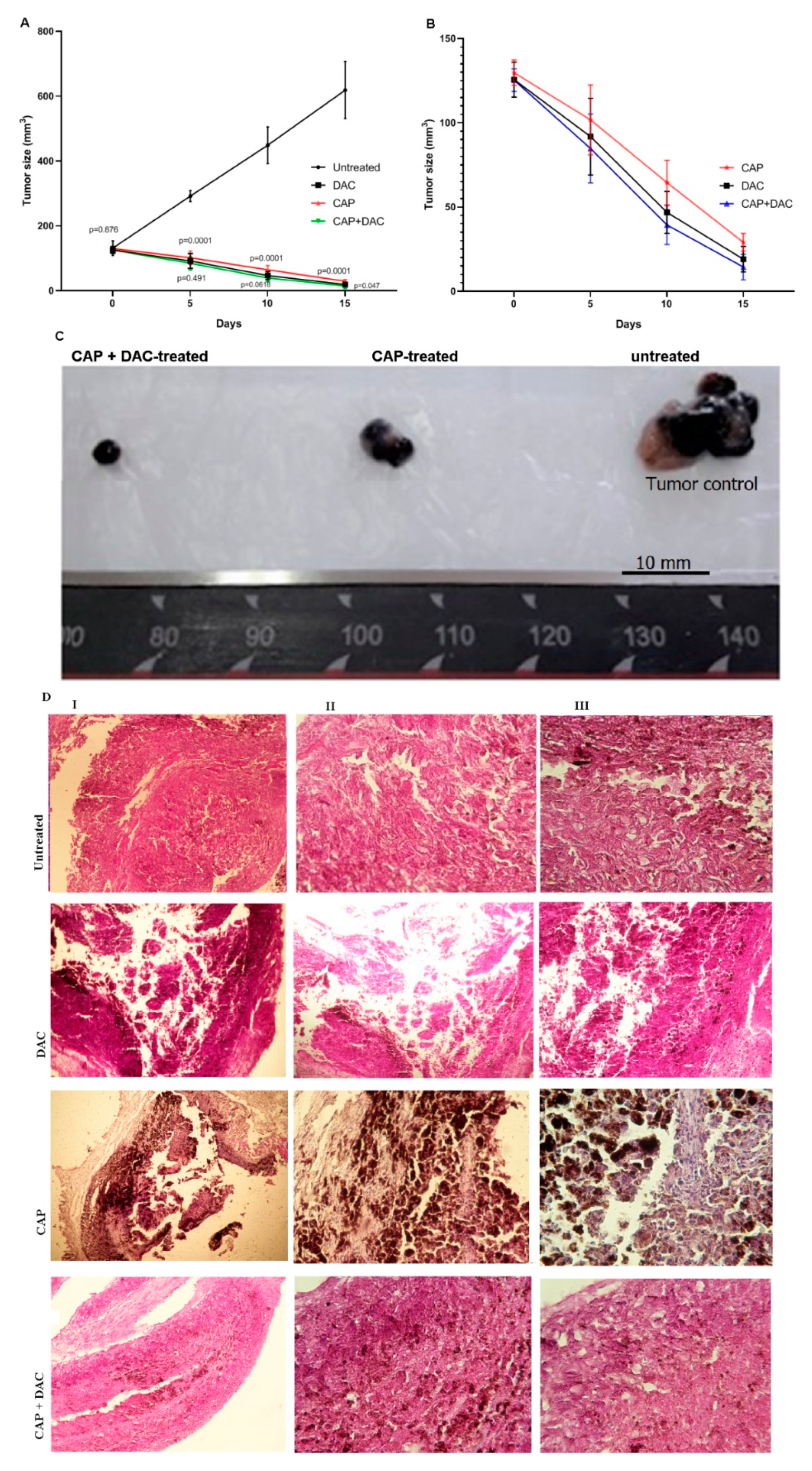 Biomolecules 10 01011 g006