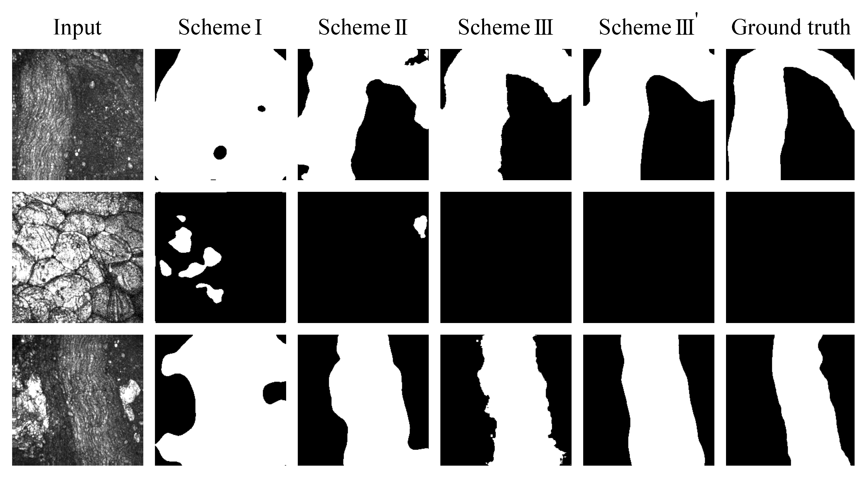 Biomolecules 10 01012 g005