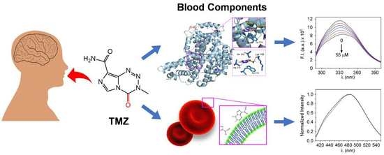 Biomolecules Free Full Text The Interaction Of Temozolomide With Blood Components Suggests The Potential Use Of Human Serum Albumin As A Biomimetic Carrier For The Drug Html