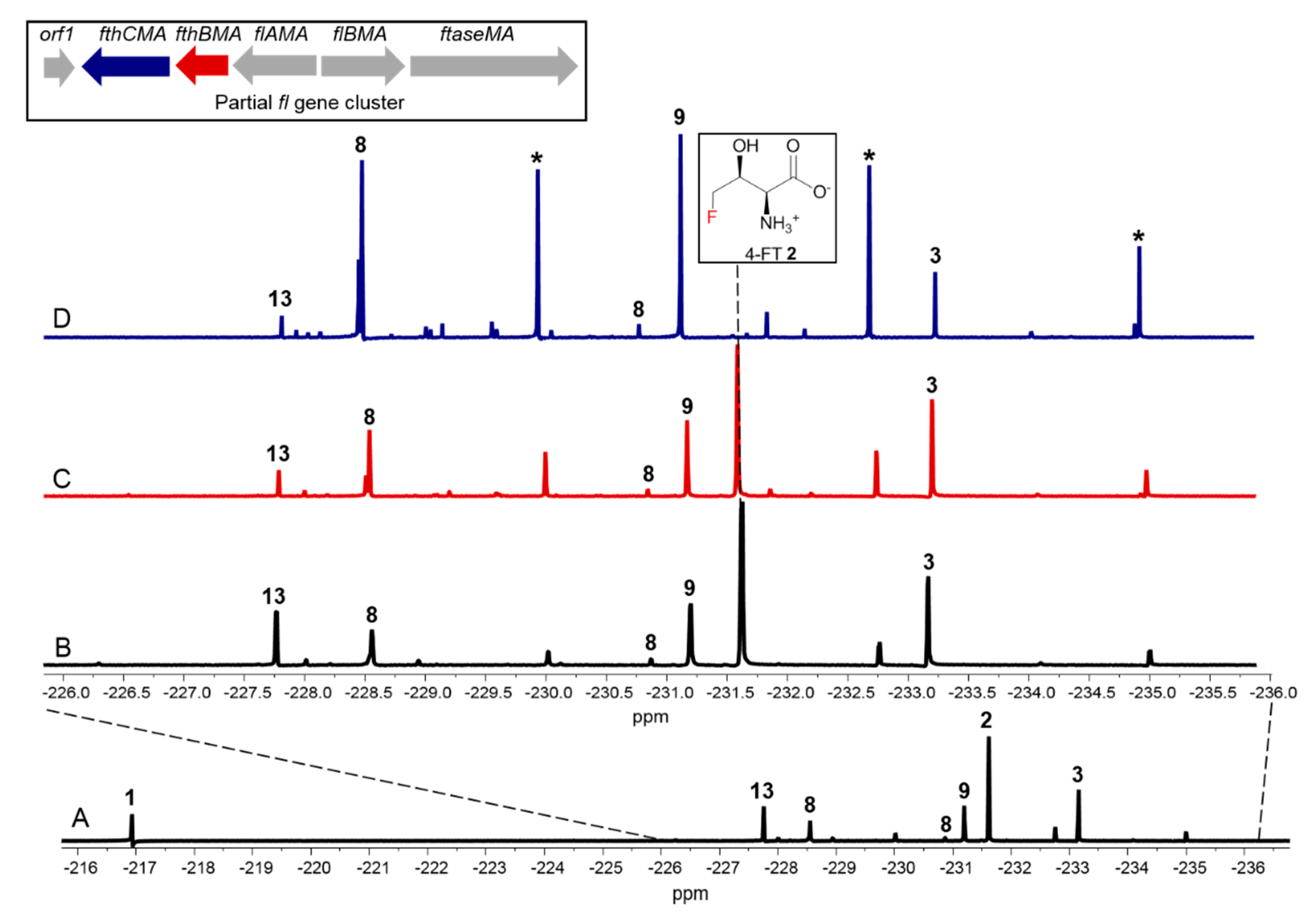 Biomolecules 10 01023 g002