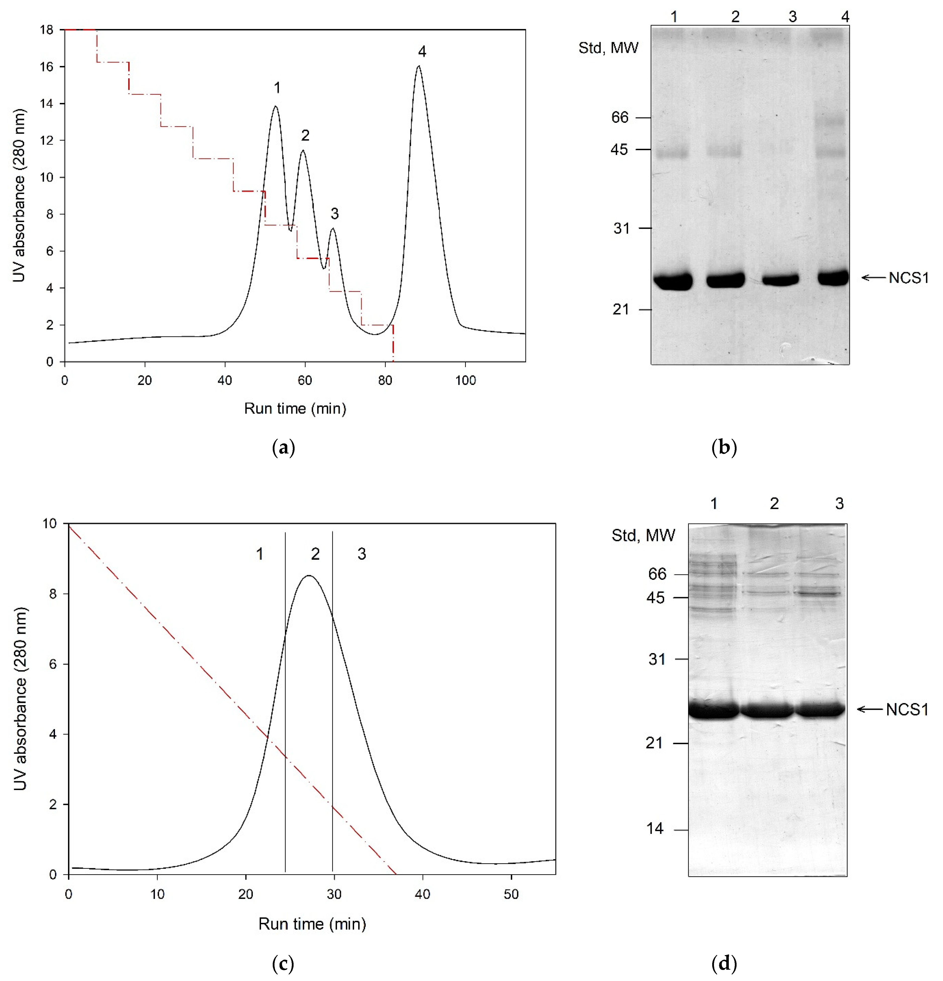 Biomolecules 10 01025 g005 Biomolecules 10 01025 g005