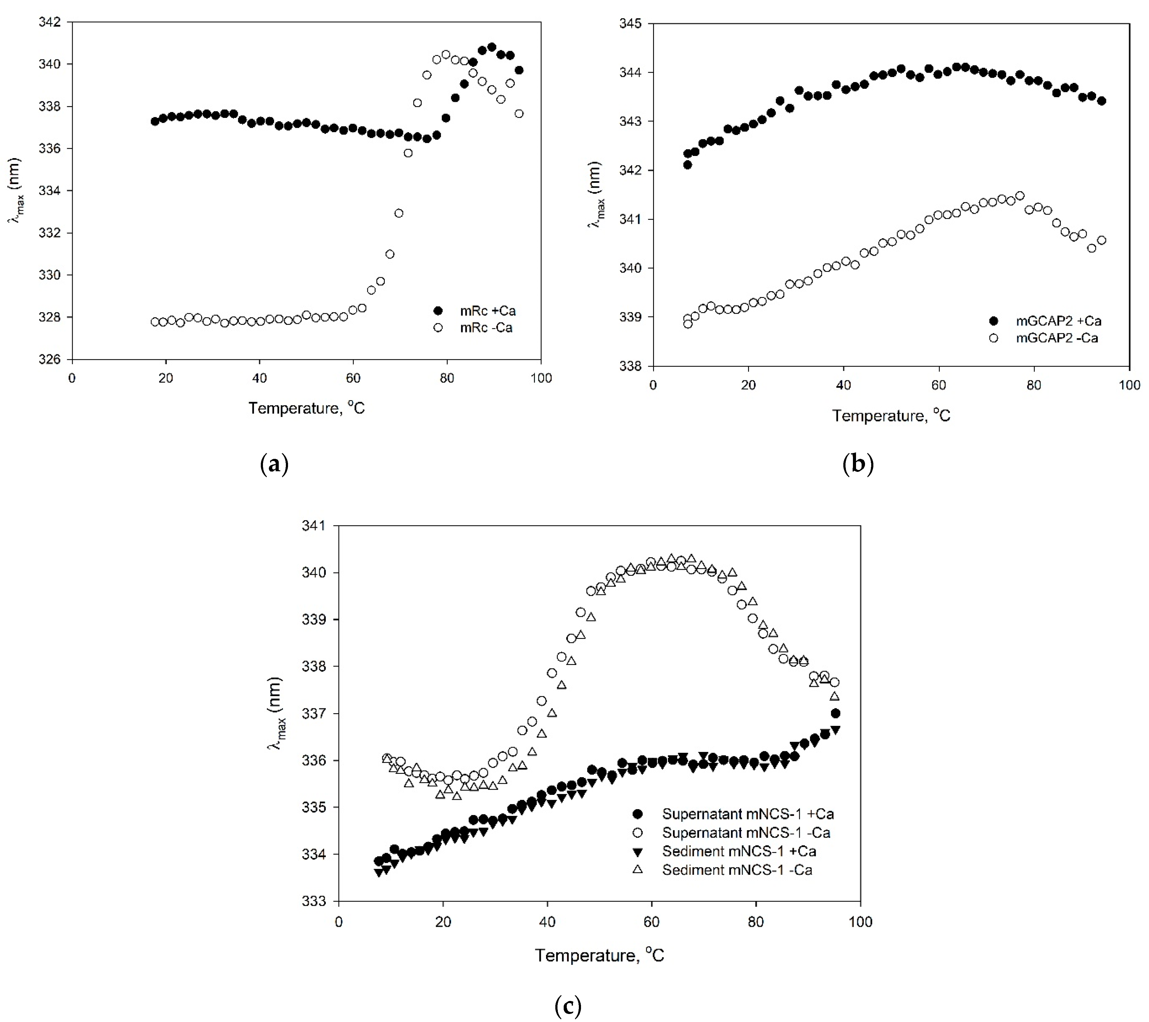 Biomolecules 10 01025 g006 Biomolecules 10 01025 g006