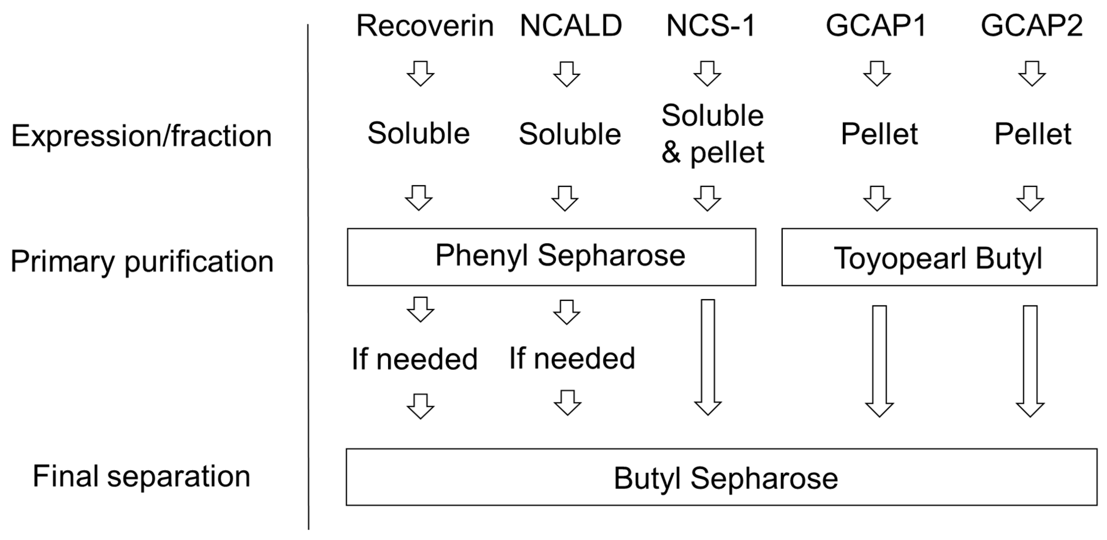 Biomolecules 10 01025 g007 Biomolecules 10 01025 g007
