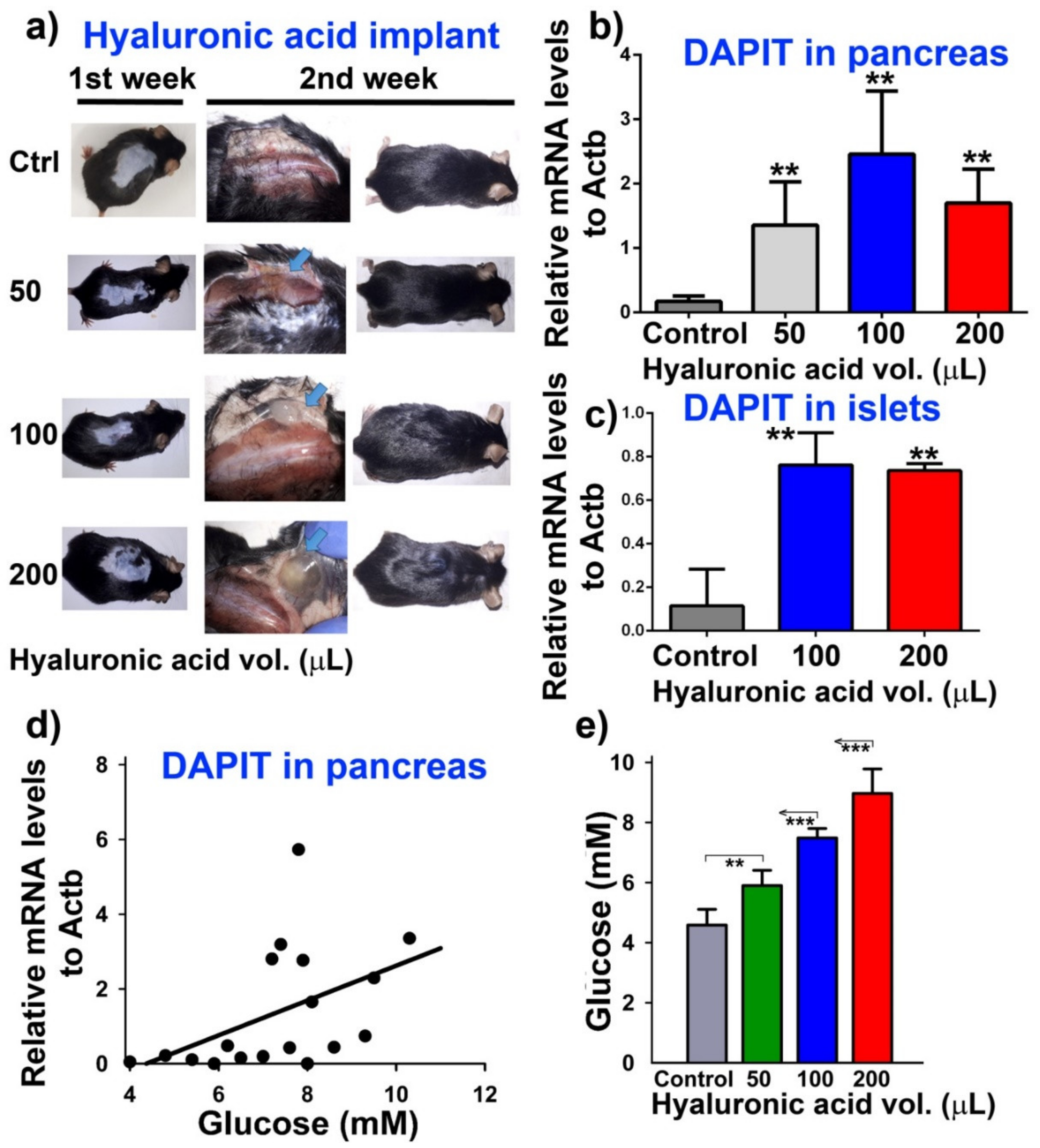 Biomolecules 10 01026 g002