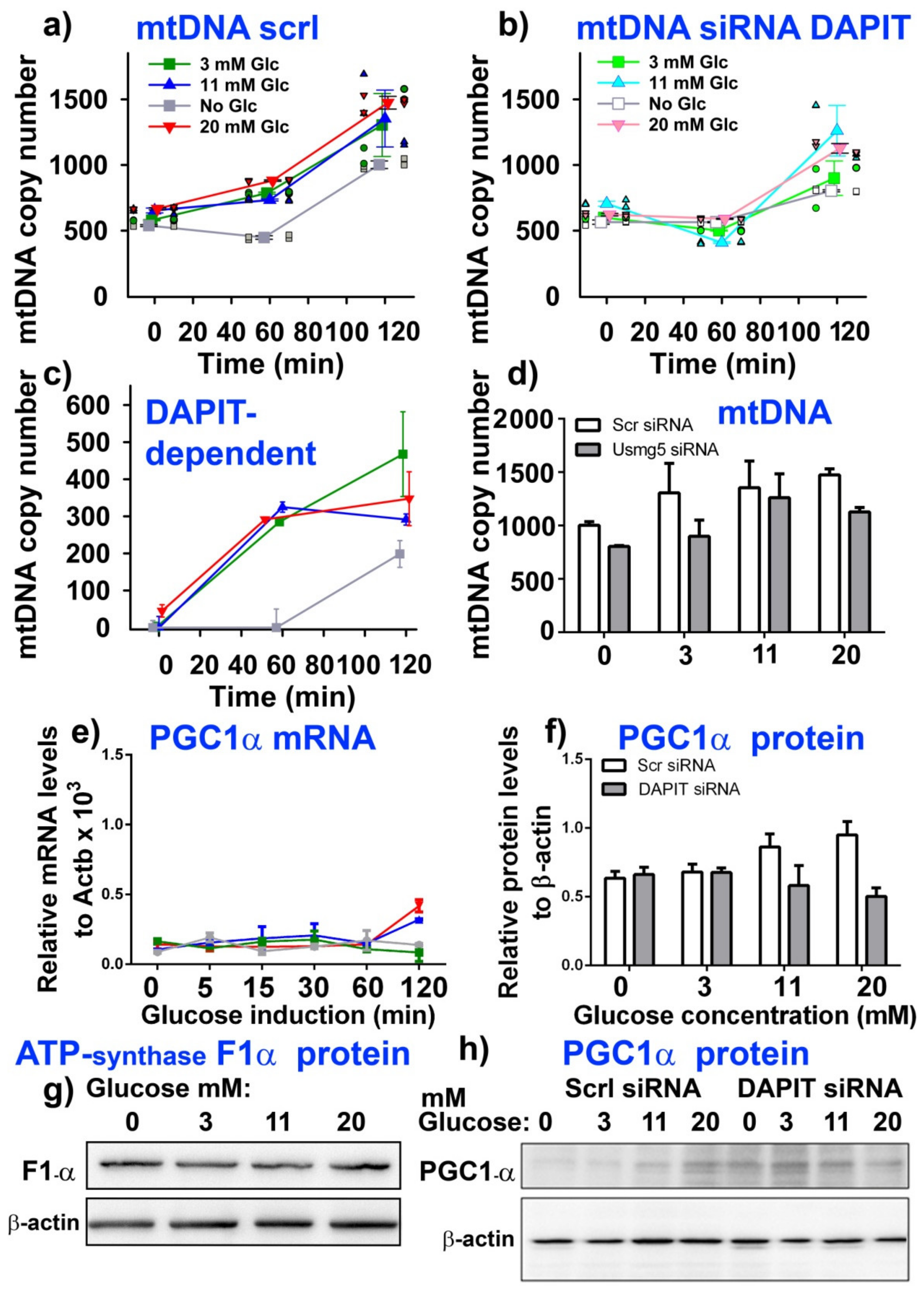 Biomolecules 10 01026 g005