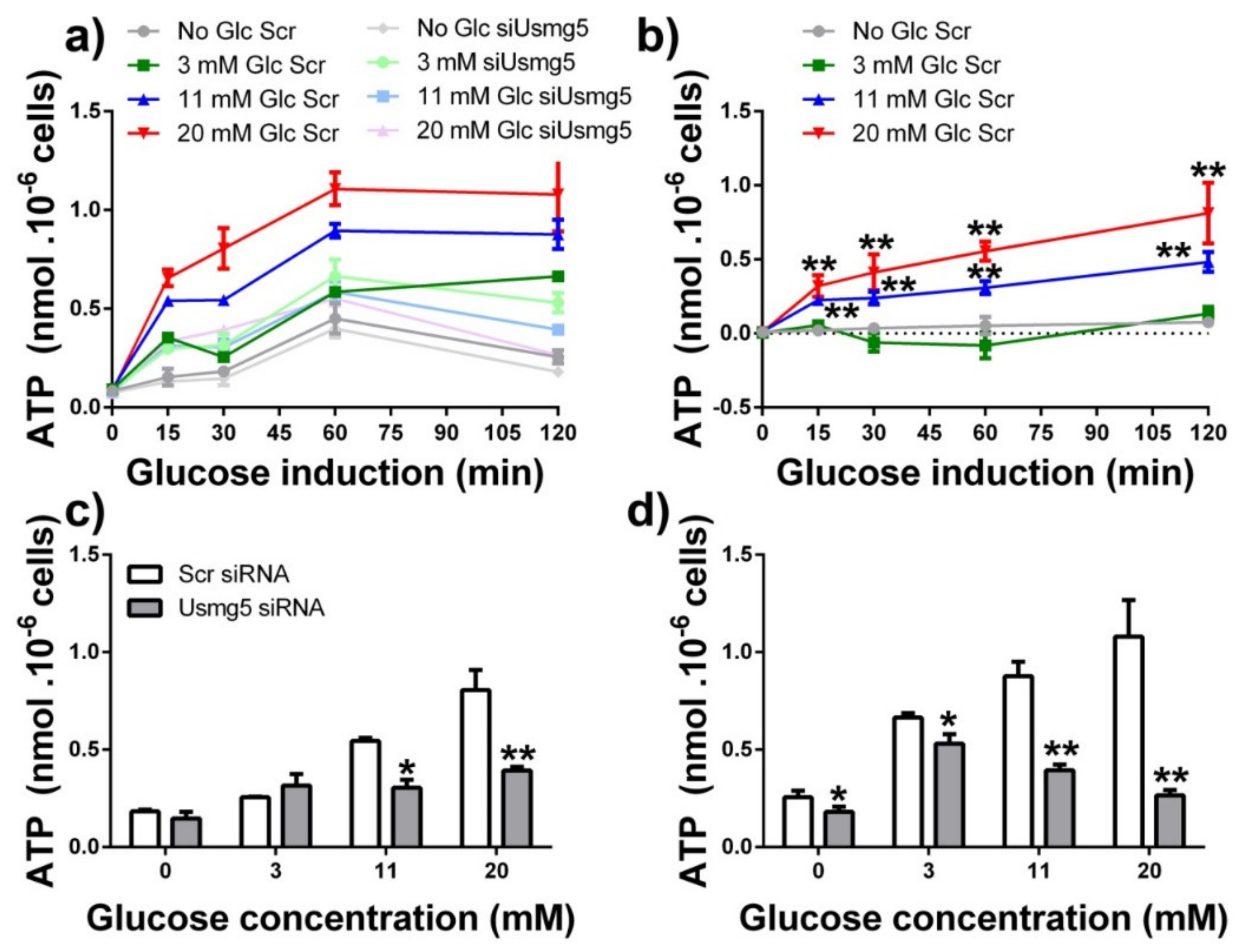 Biomolecules 10 01026 g006