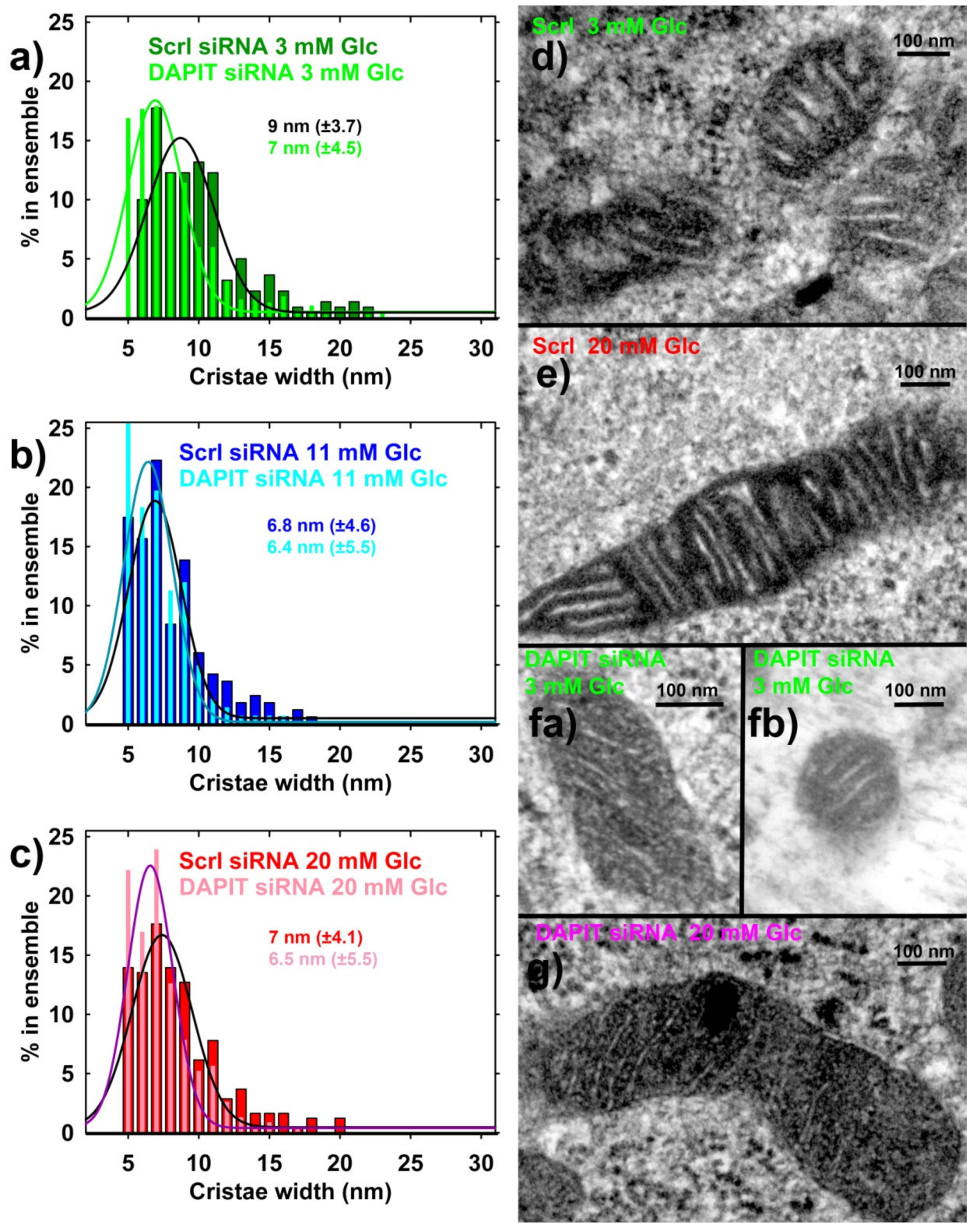 Biomolecules 10 01026 g009