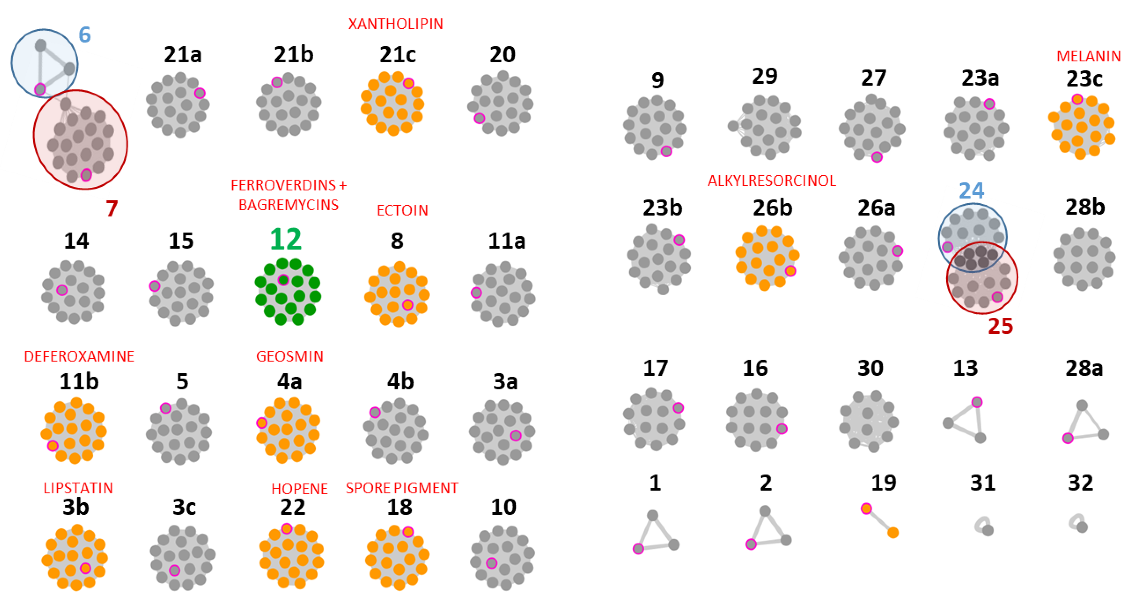 Biomolecules 10 01027 g002